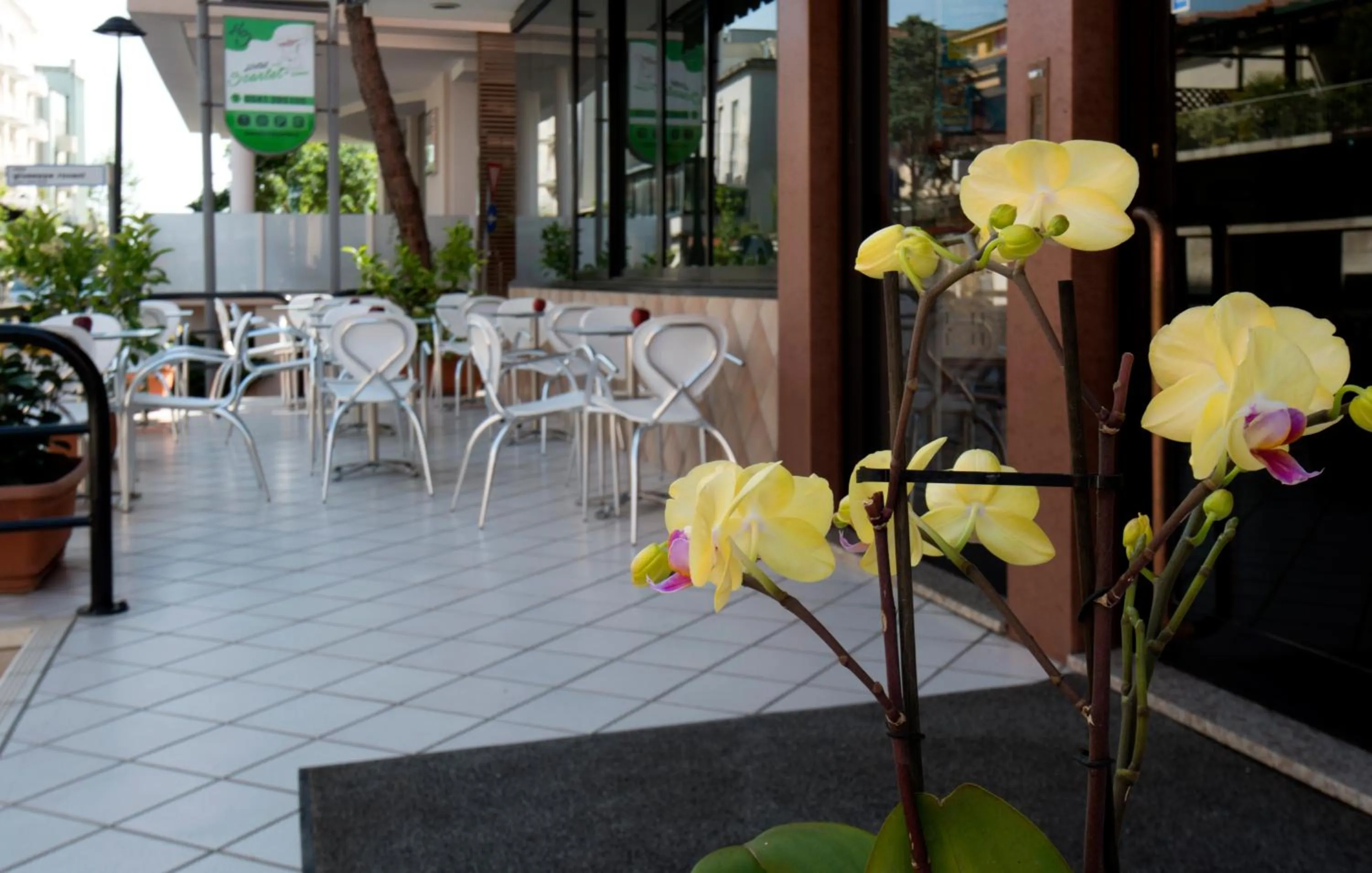 Patio in Hotel Scarlet