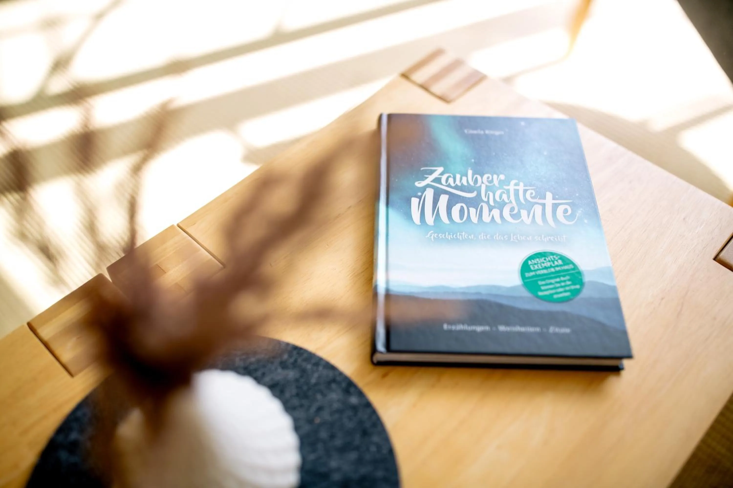 Library in FerienResidenz MüritzPark