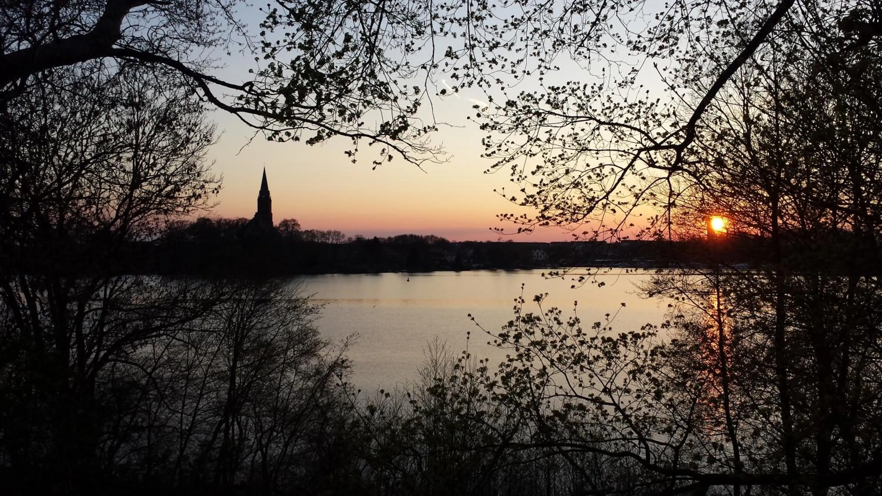 Natural landscape in FerienResidenz MüritzPark