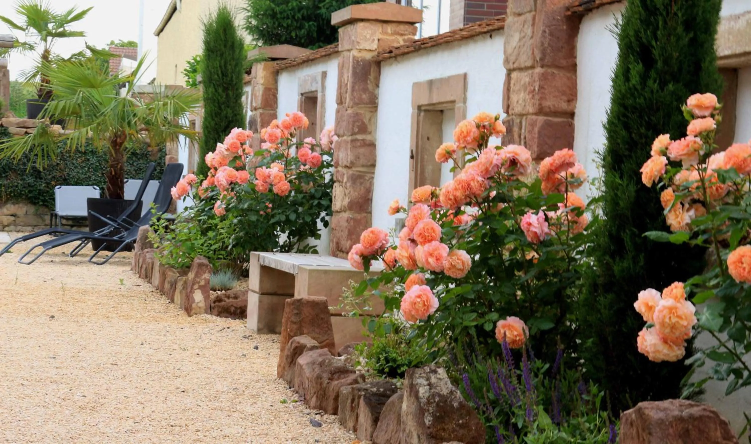 Garden in Casa Palatina