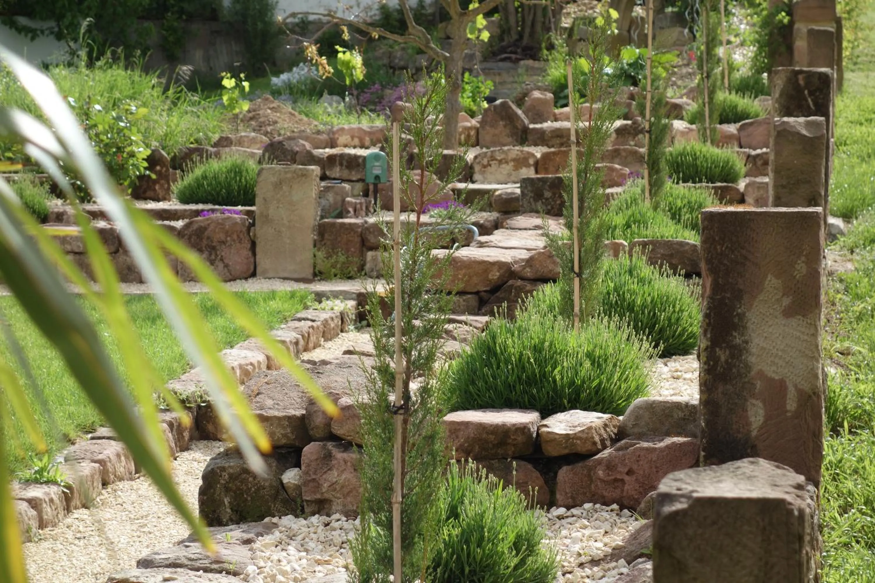 Garden in Casa Palatina