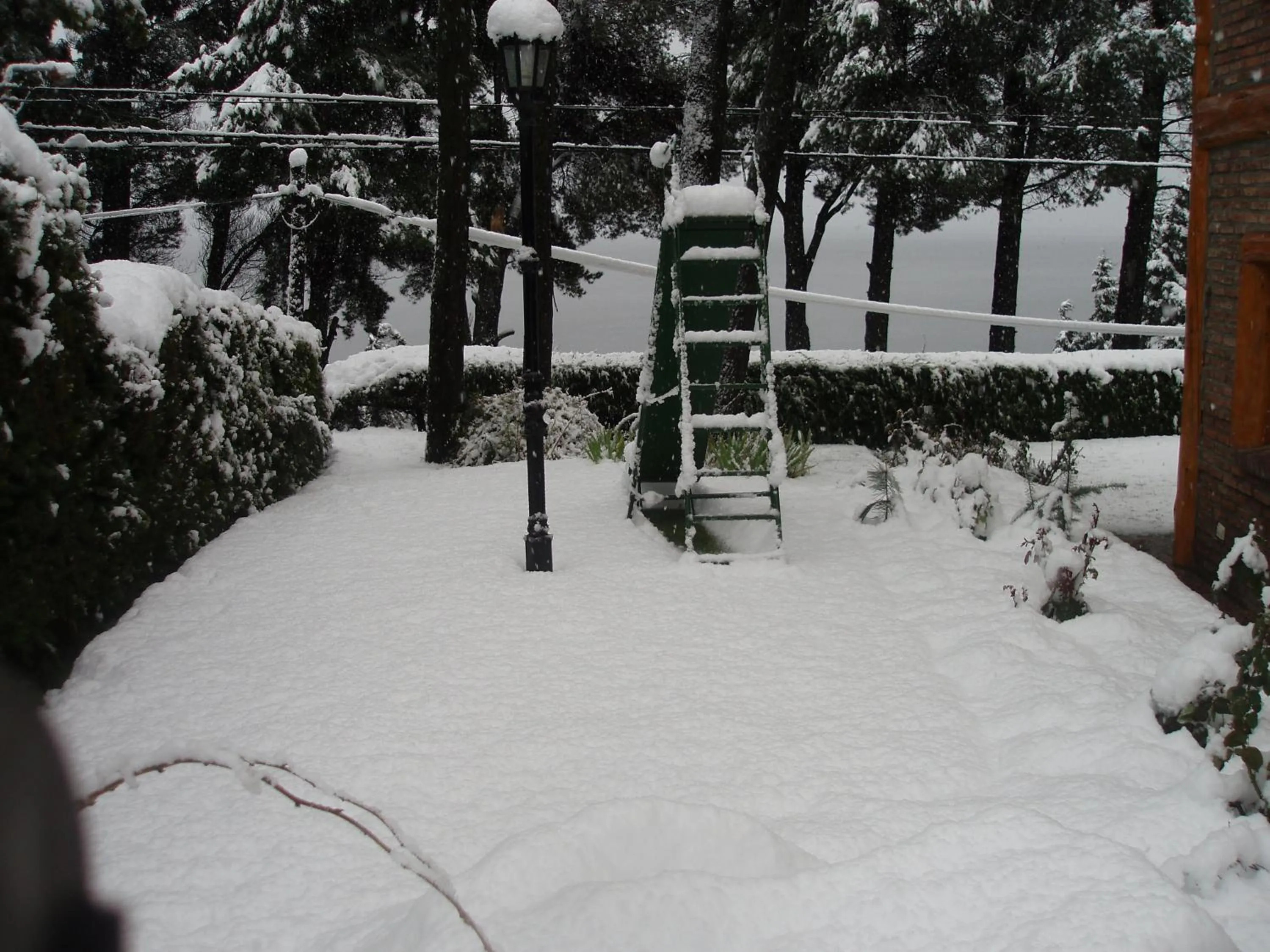 Garden in Lejano Nahuel