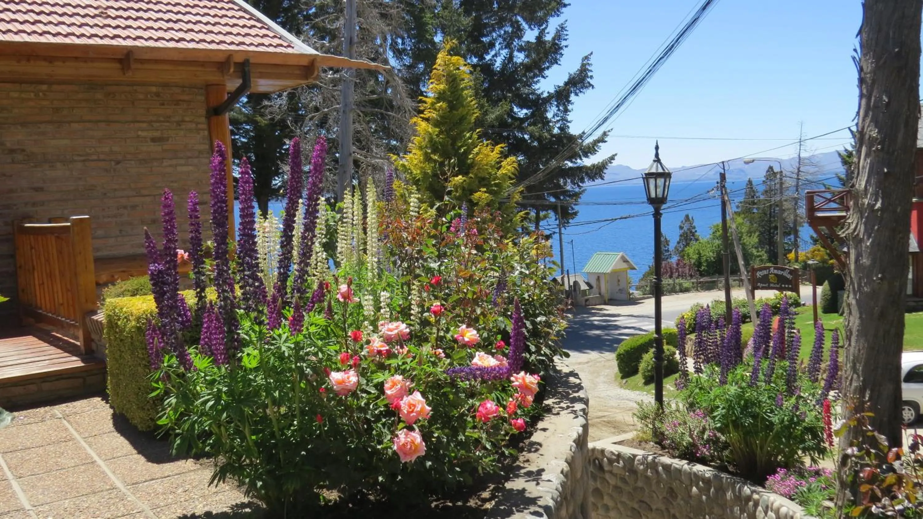 Street view in Lejano Nahuel