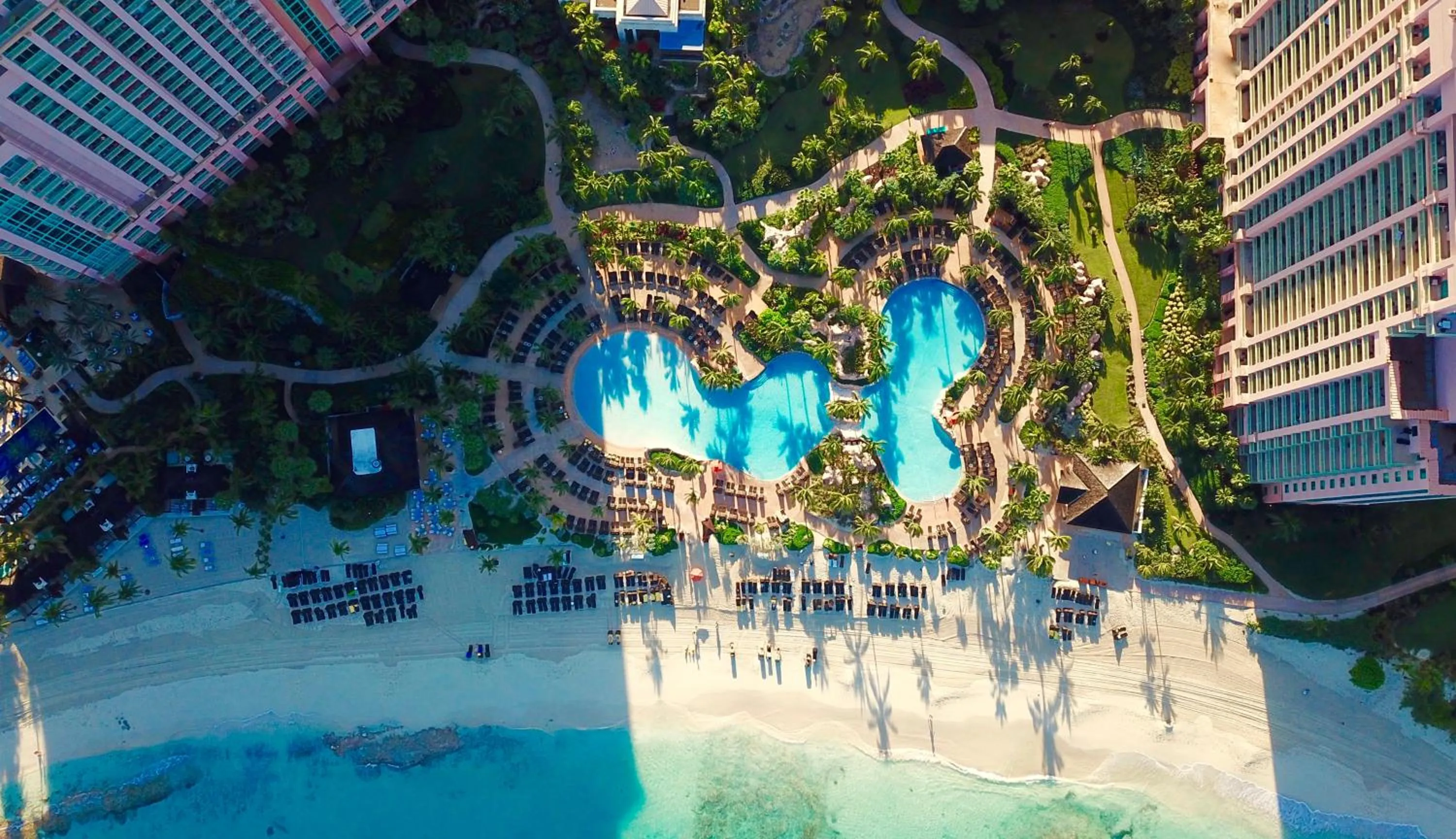 Bird's eye view in The Reef at Atlantis
