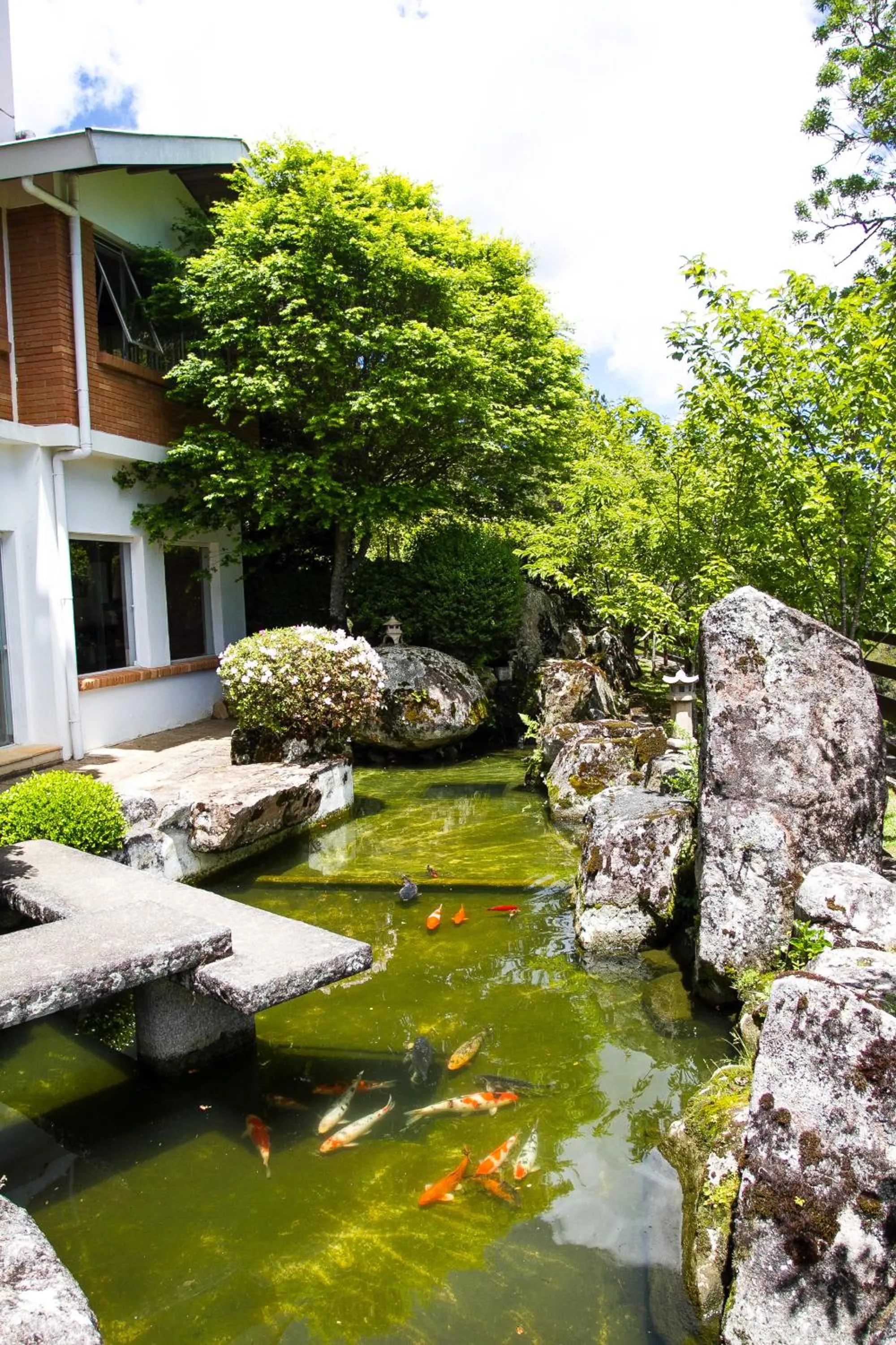 Garden in Hotel Matsubara