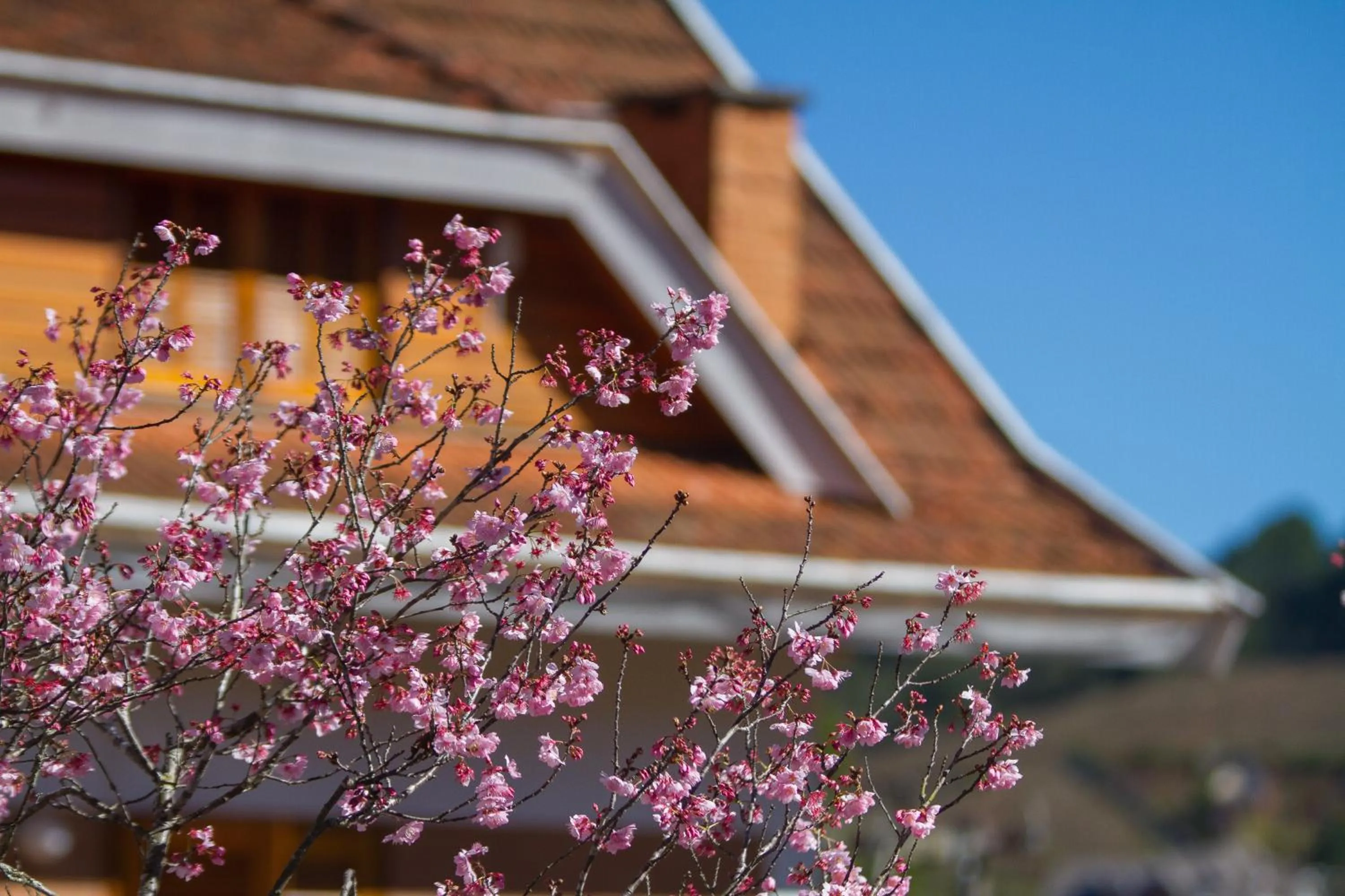 Other in Hotel Matsubara