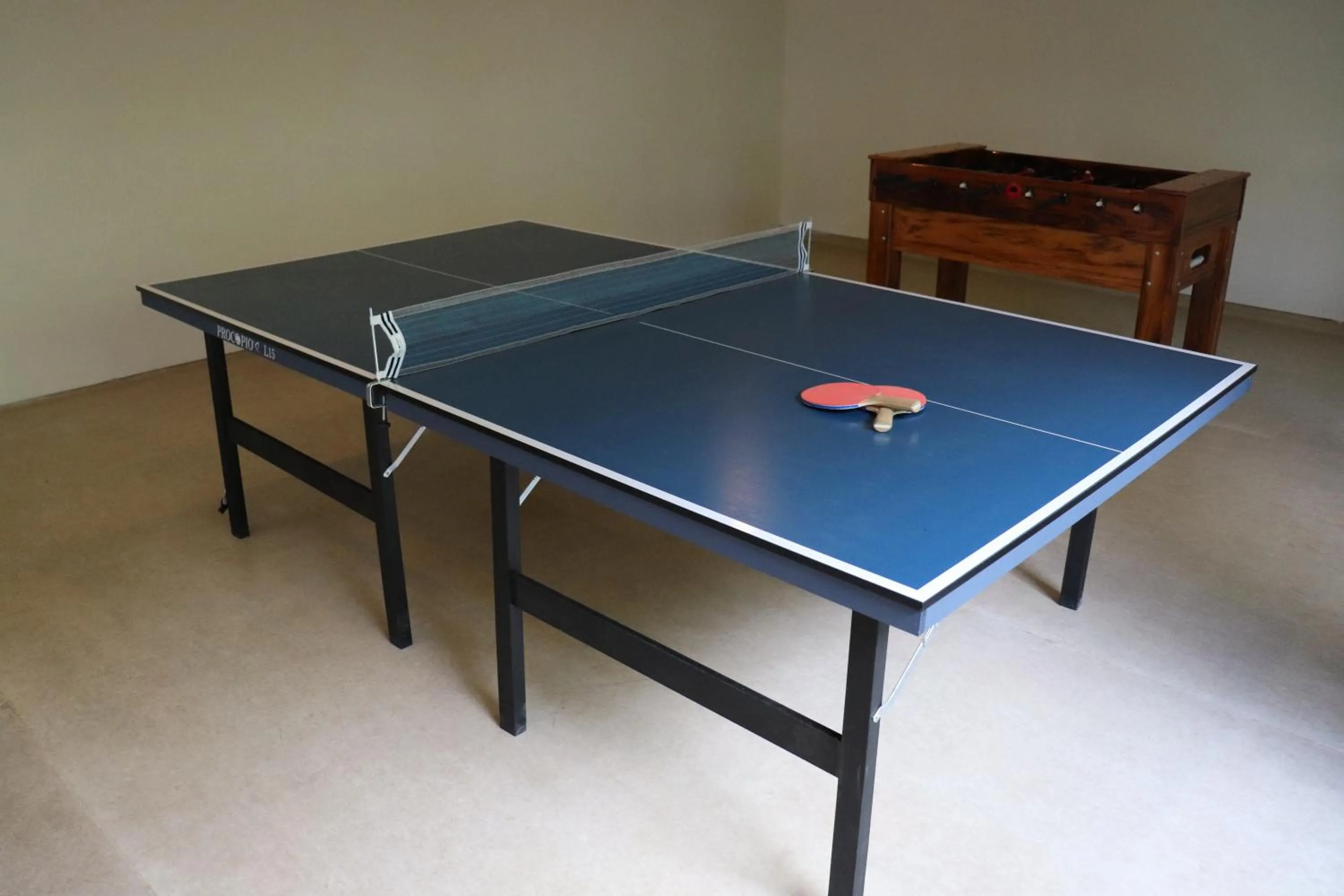 Table tennis in Hotel Matsubara