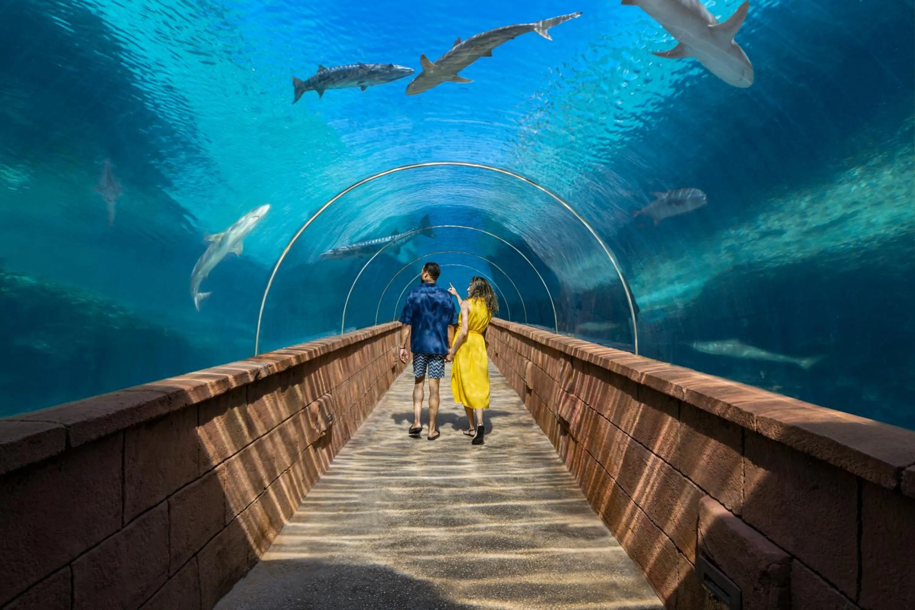 Activities in The Royal at Atlantis