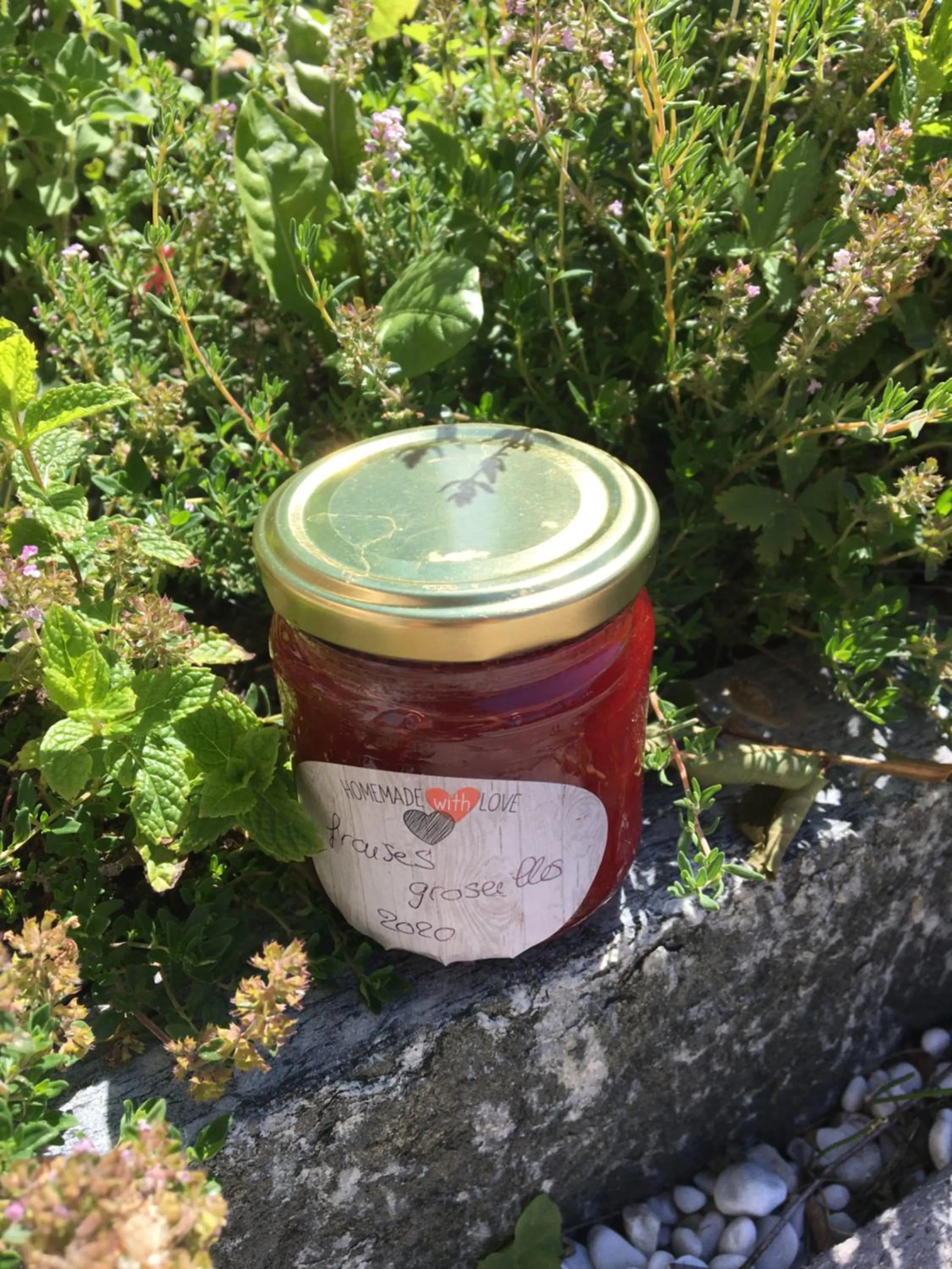 Breakfast in B&B La Forge de Diogne - luxury and cosy alpine lodge