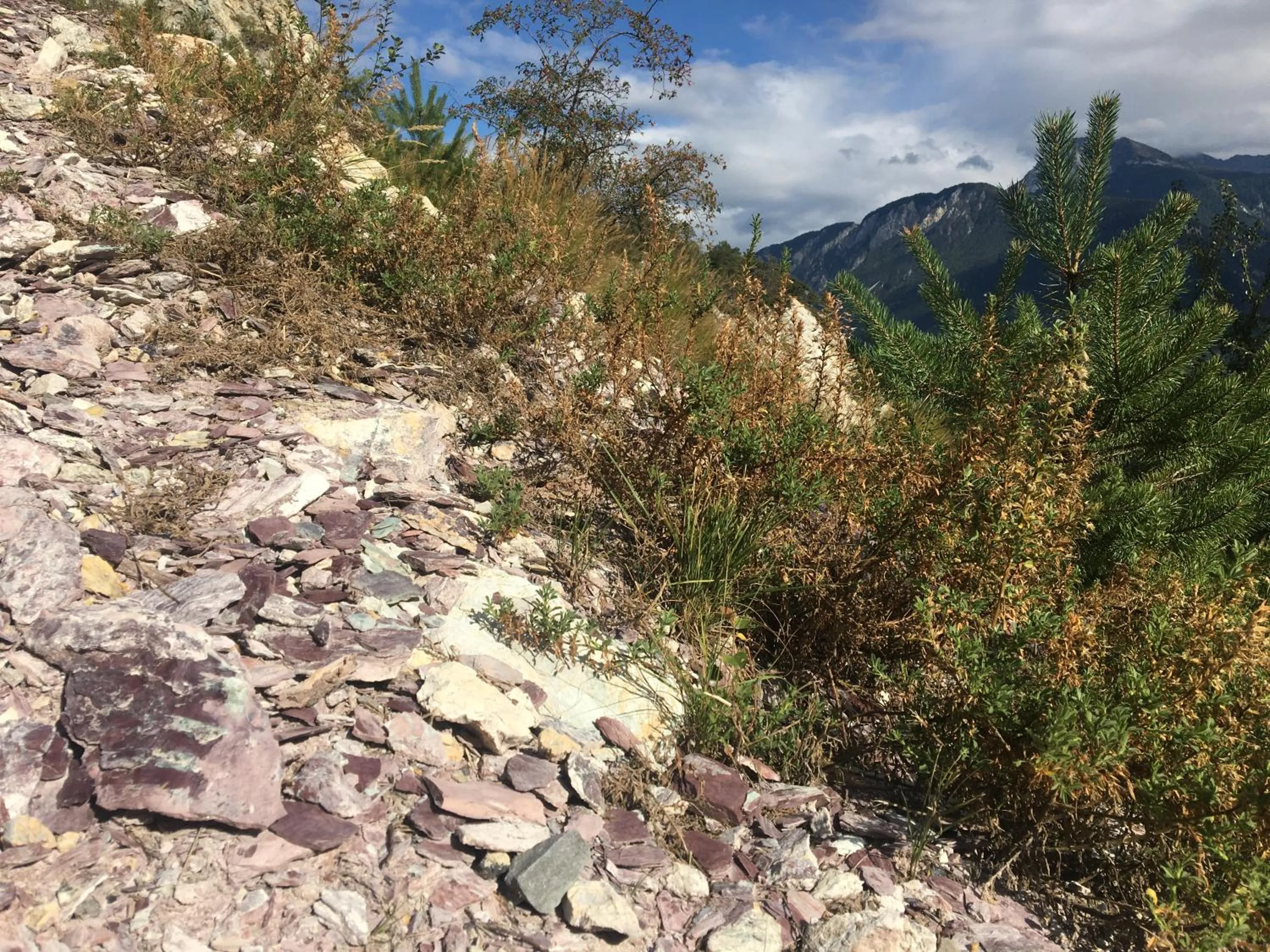 Activities in B&B La Forge de Diogne - luxury and cosy alpine lodge