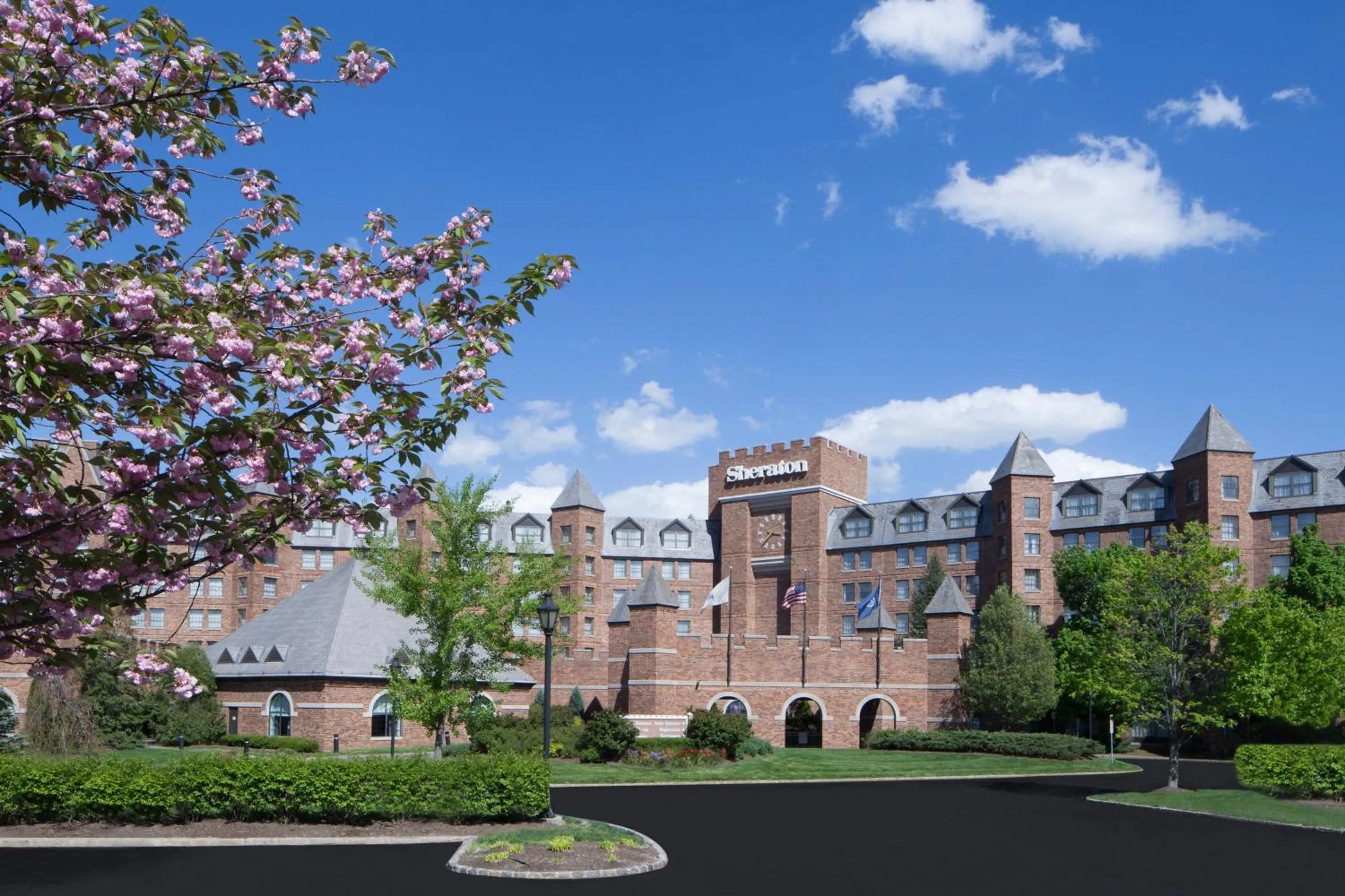 View (from property/room) in Sheraton Parsippany Hotel