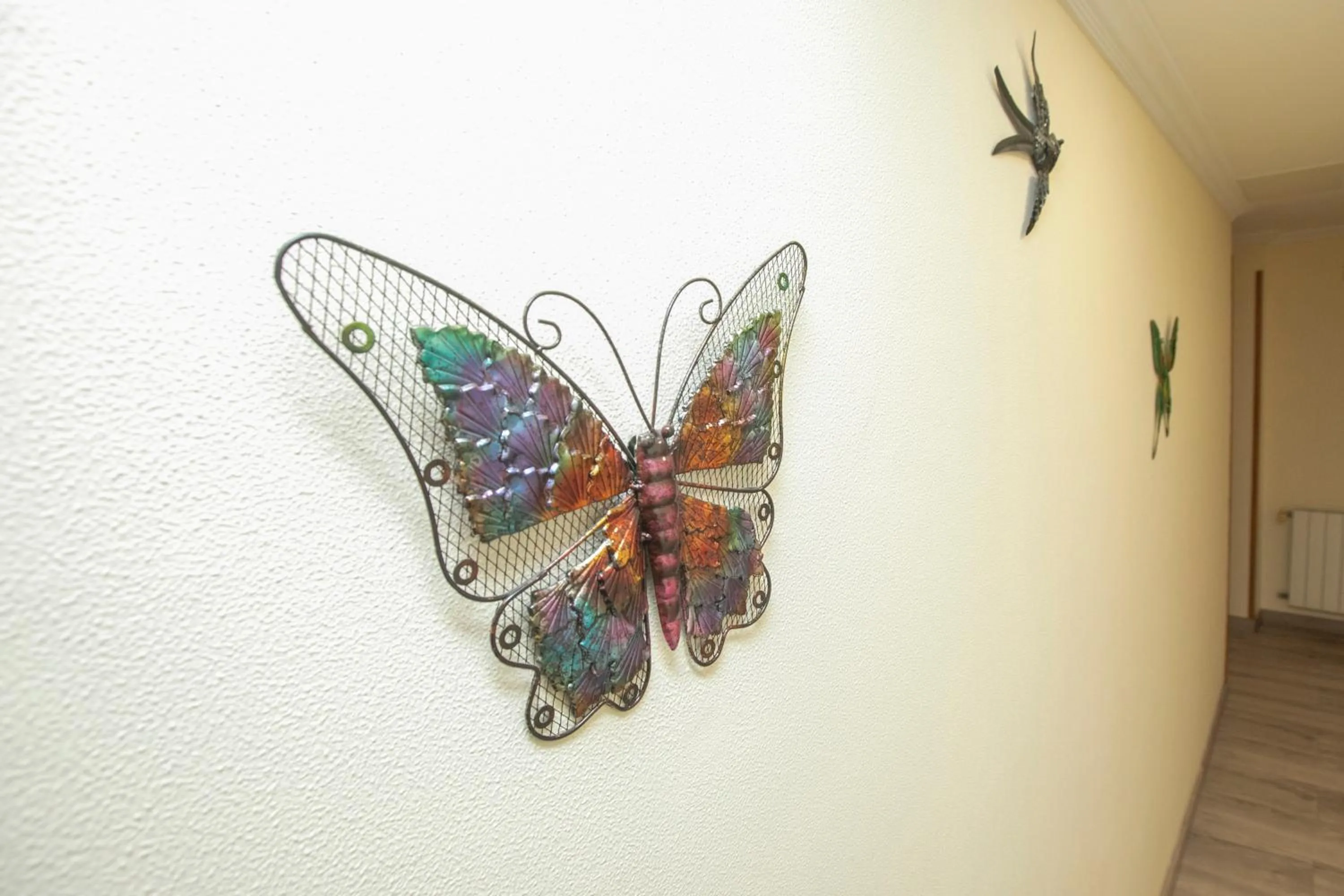 Area and facilities in Hotel PAYRO