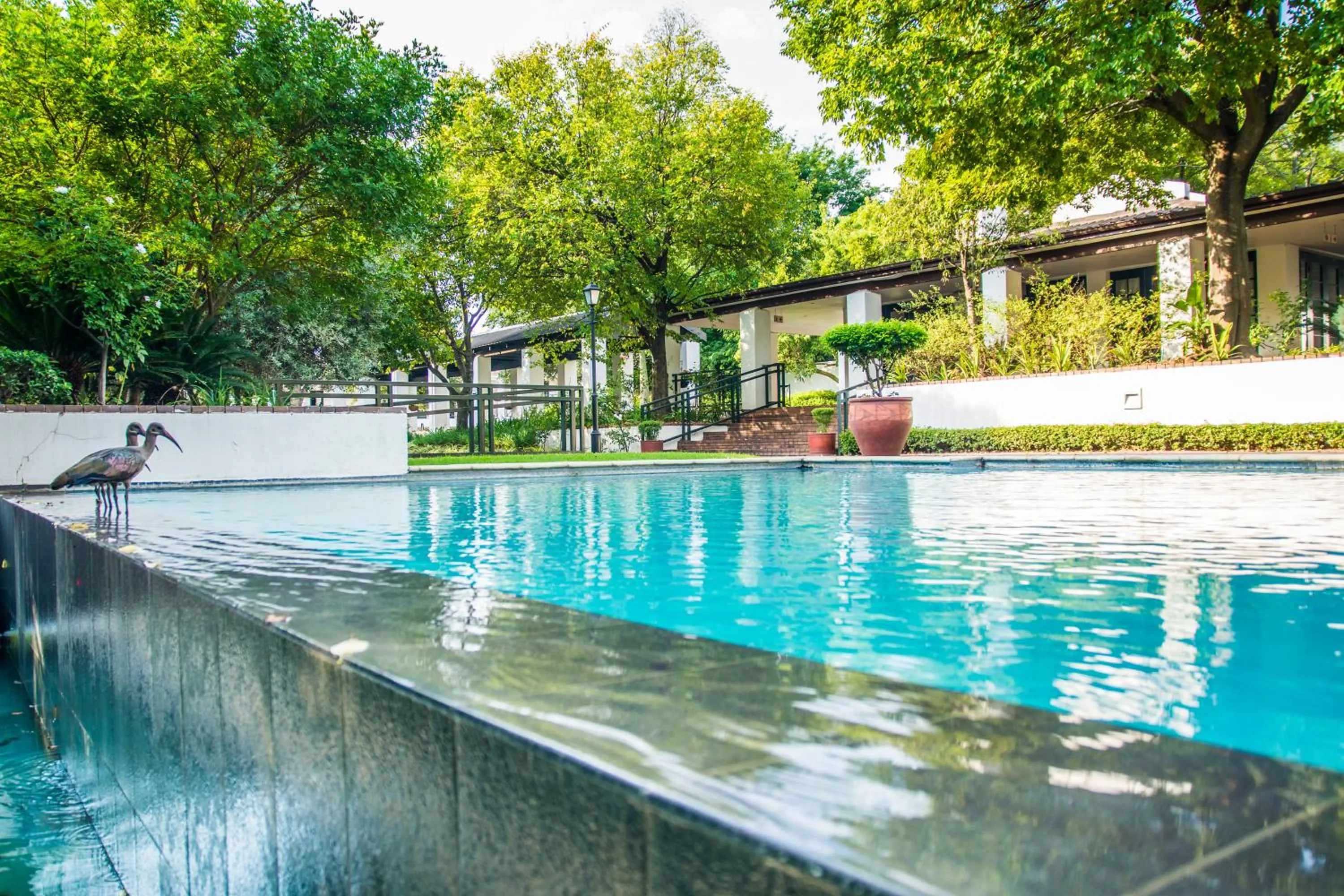 Swimming pool in Indaba Hotel, Spa & Conference Center