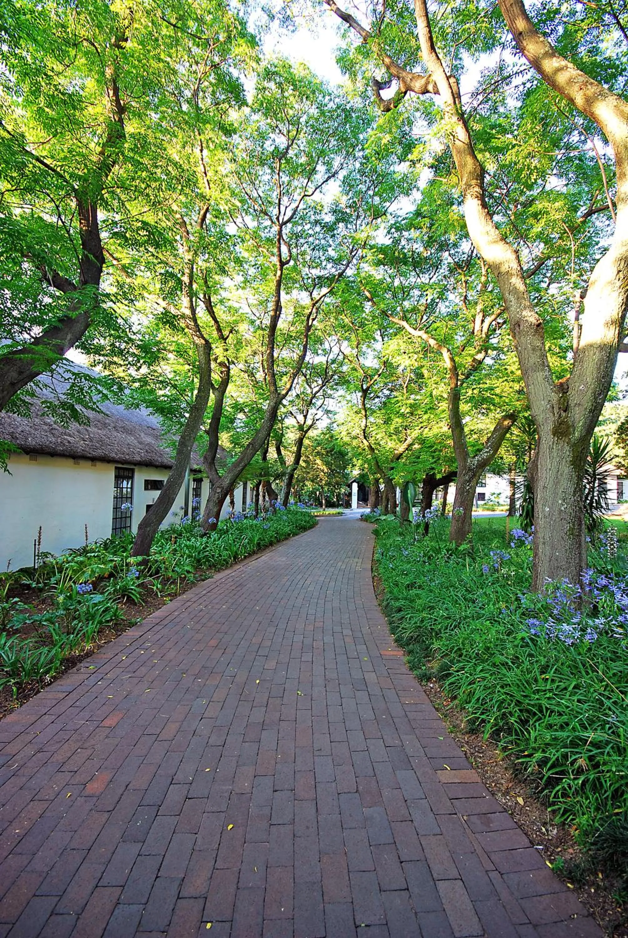 Day in Indaba Hotel, Spa & Conference Center