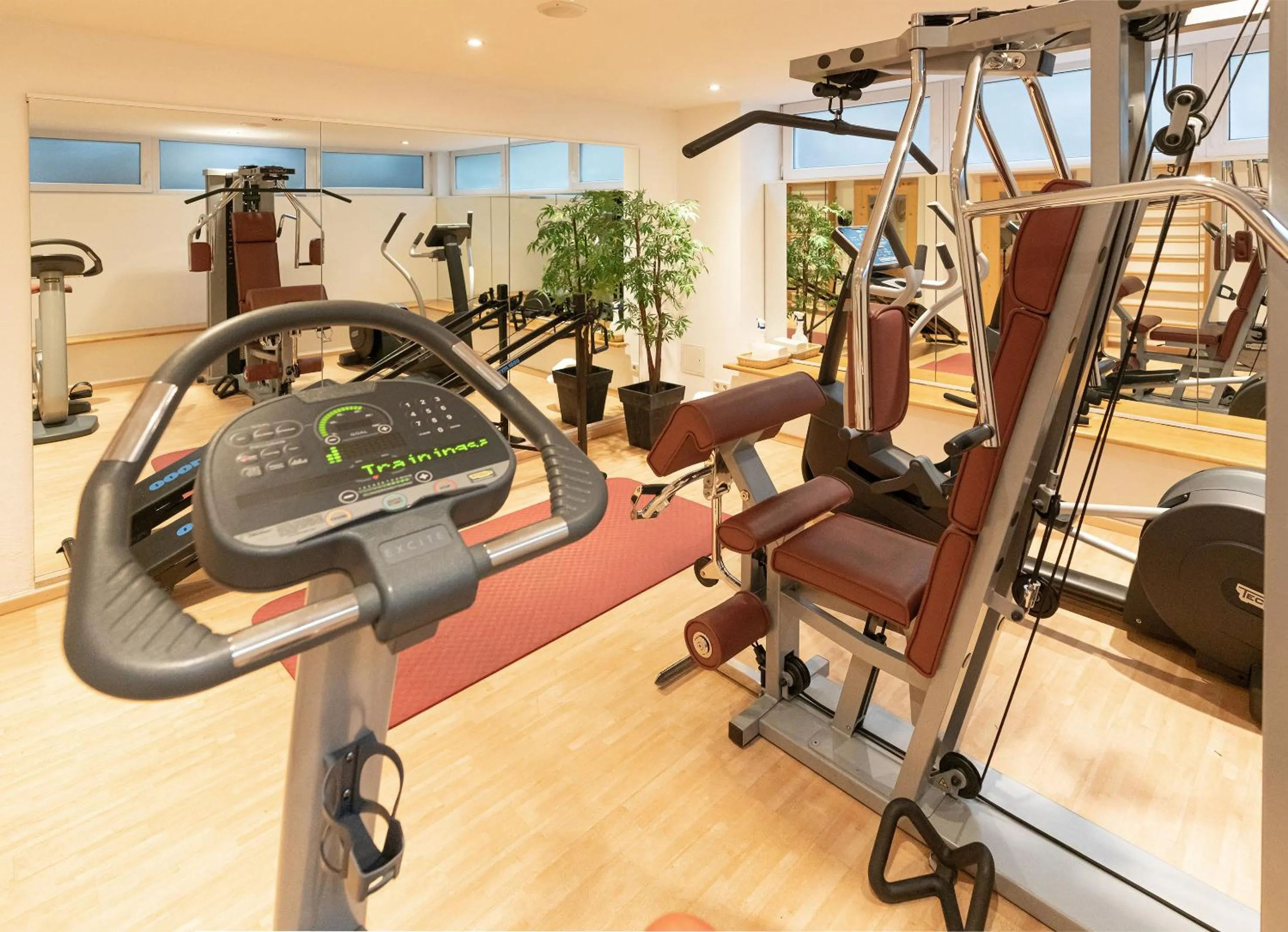 Fitness centre/facilities in Hotel Central