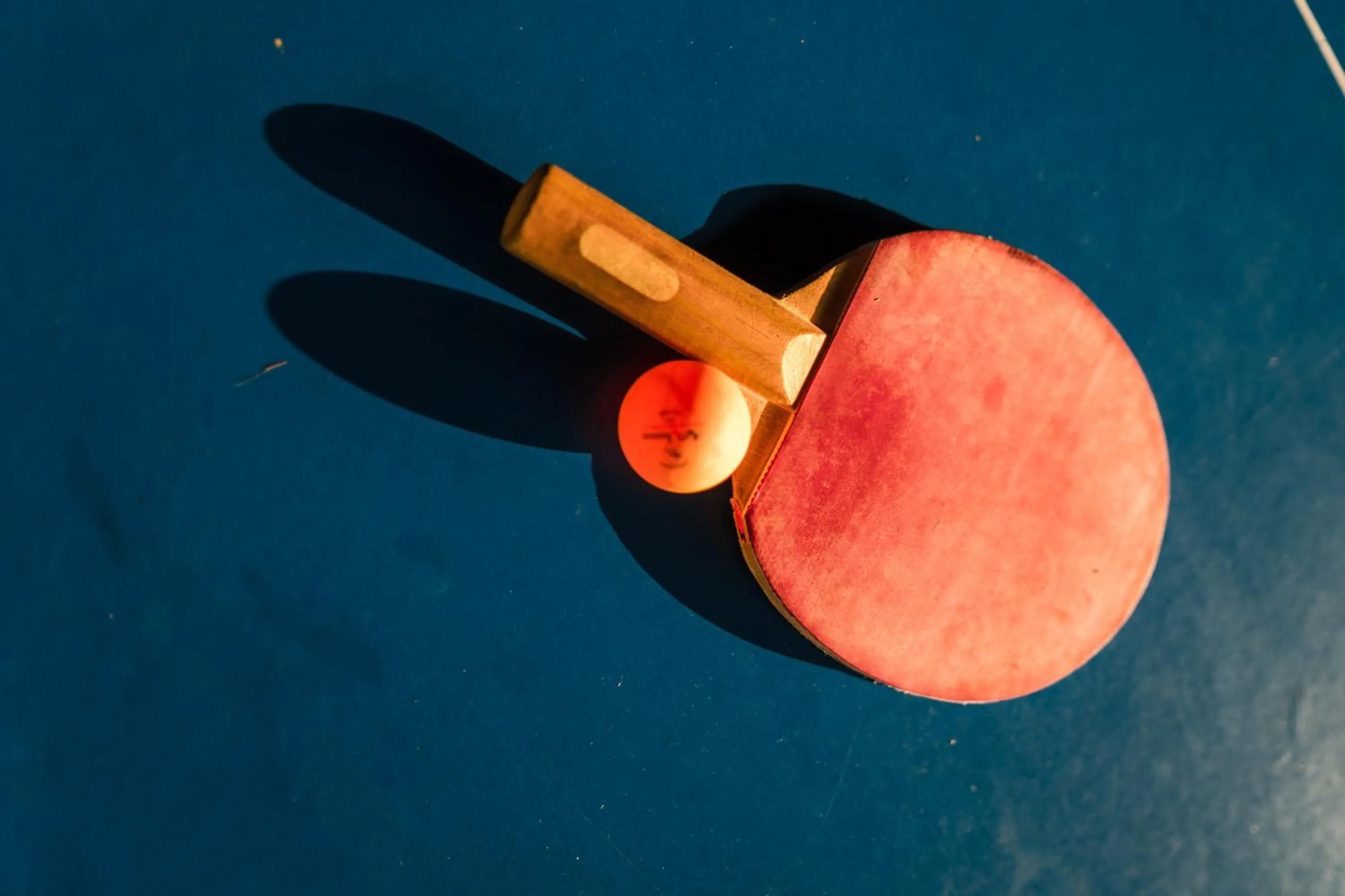 Sports in Leoney Resort Goa