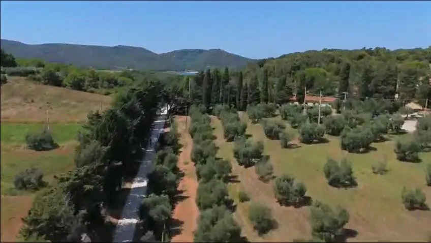 Natural landscape in Poggio all'Agnello Sport & Family Holidays
