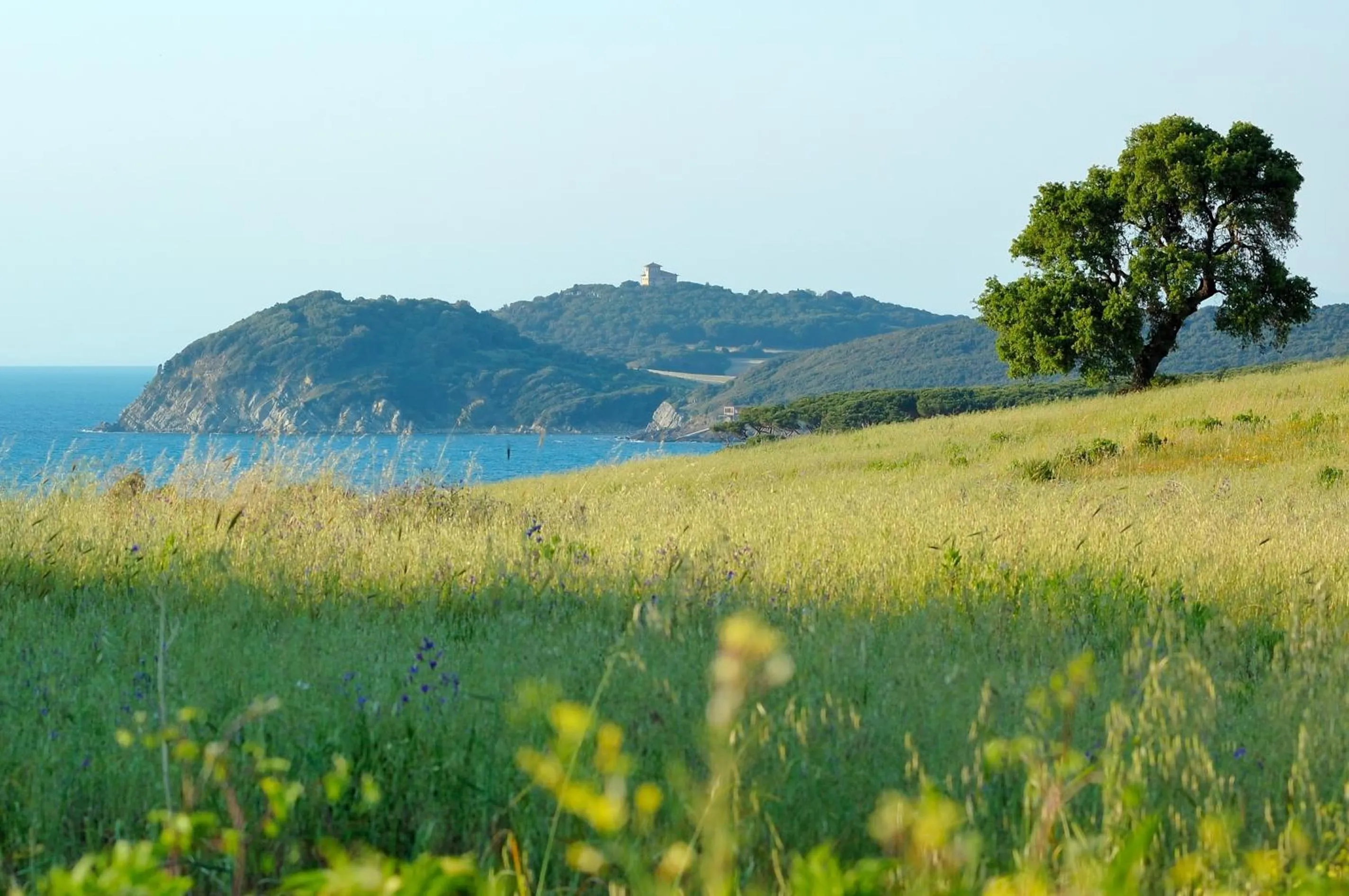 Natural landscape in Poggio all'Agnello Sport & Family Holidays
