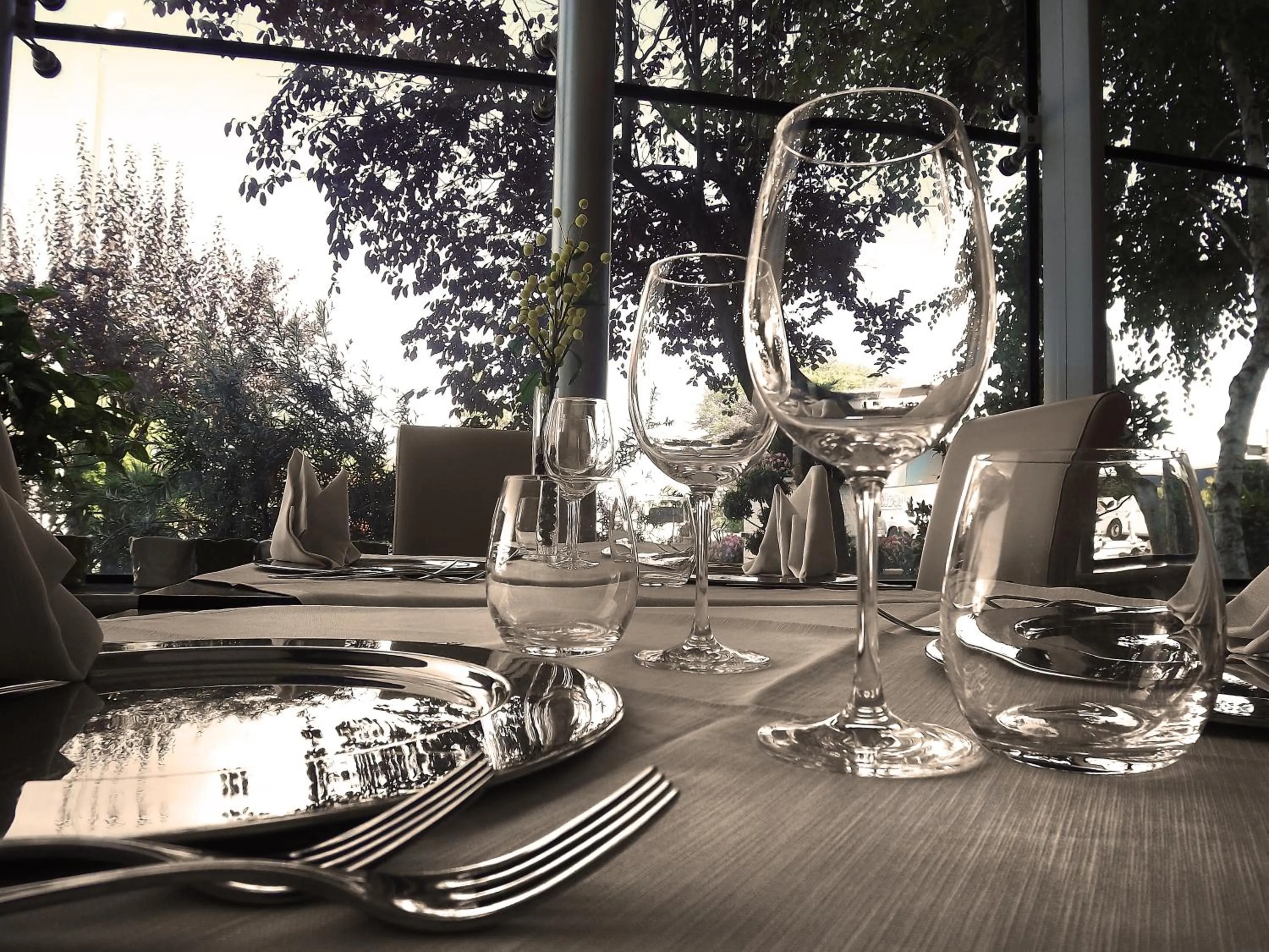 Restaurant/places to eat in Hotel Liola'