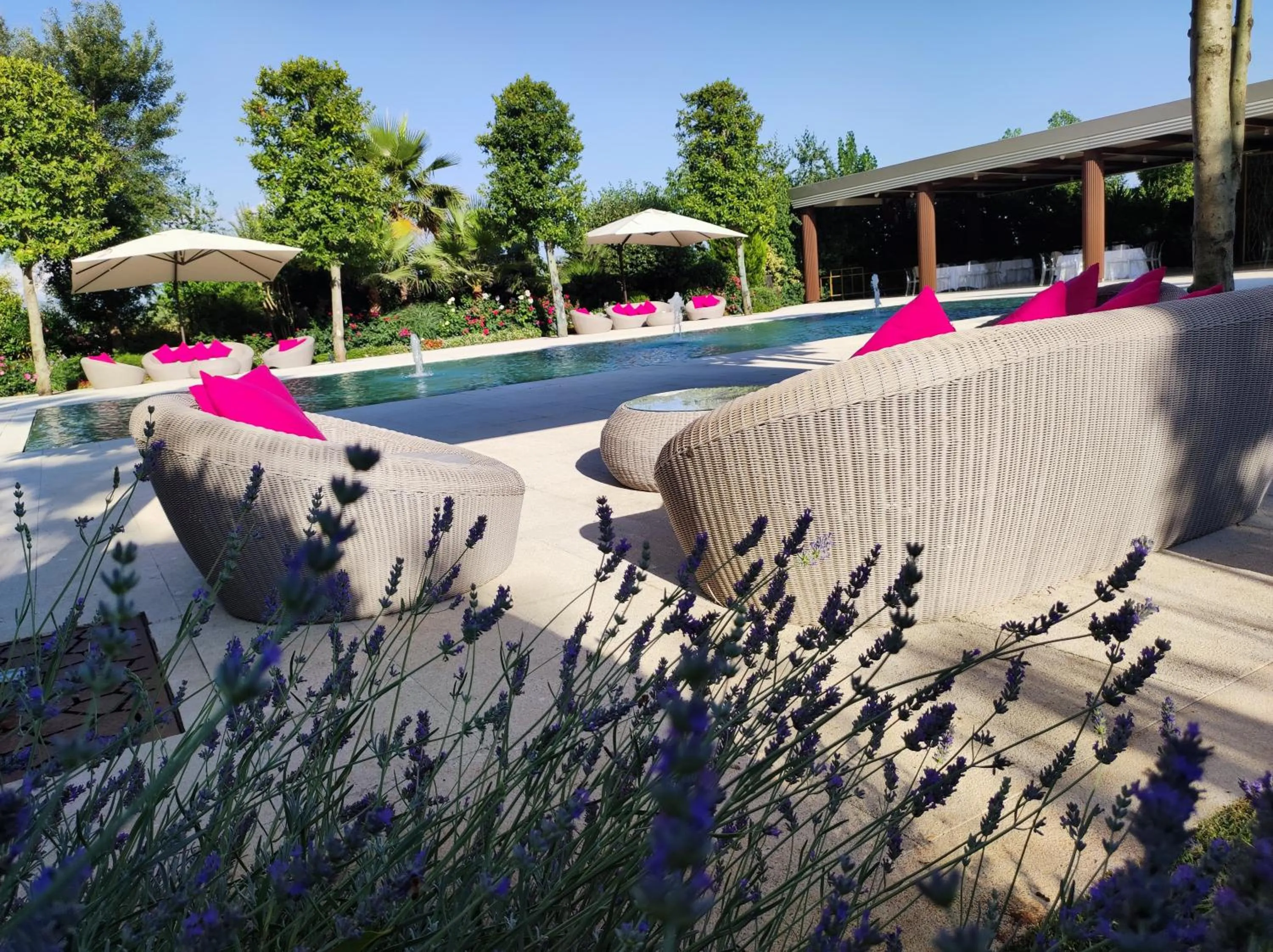 Garden in Hotel Liola'