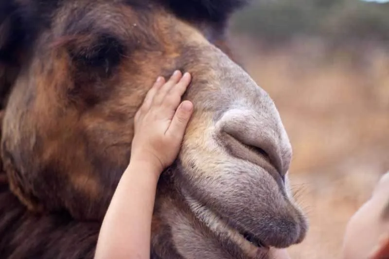 Other in Stone Village Hotel Apartments