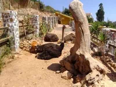 Garden in Stone Village Hotel Apartments