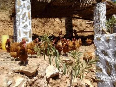 Other in Stone Village Hotel Apartments