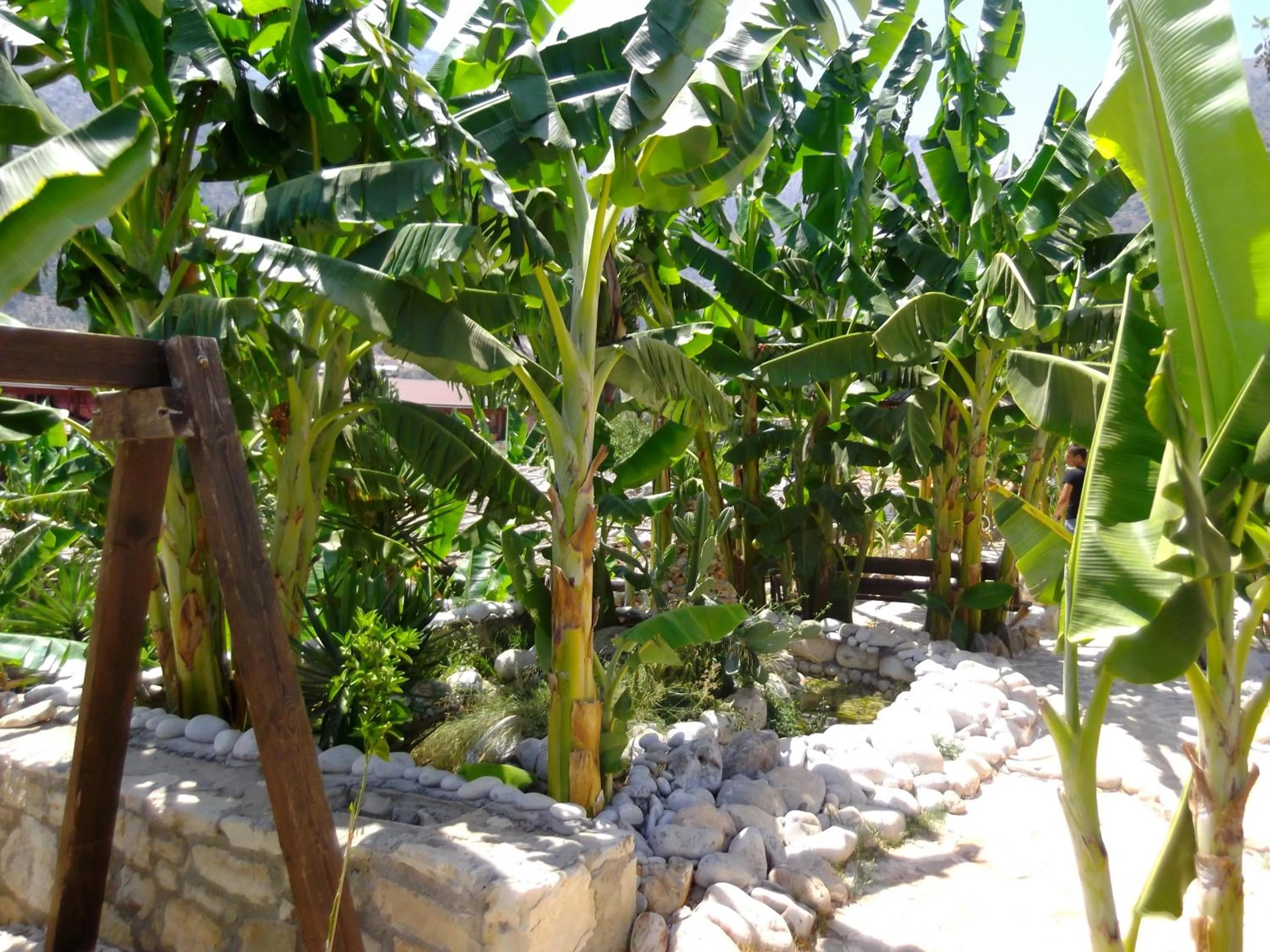 Garden in Stone Village Hotel Apartments