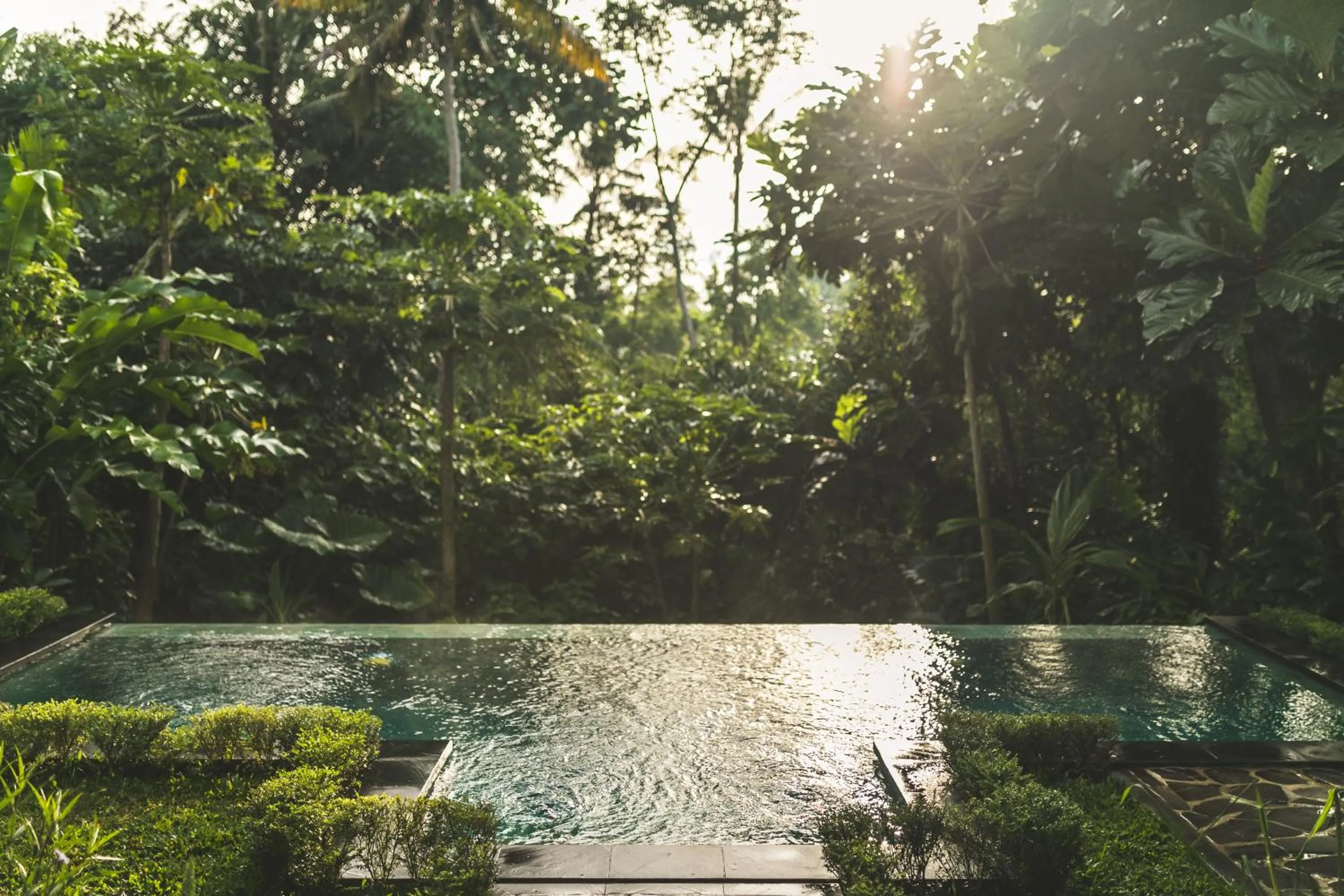 Natural landscape in A Priori Villa Ubud