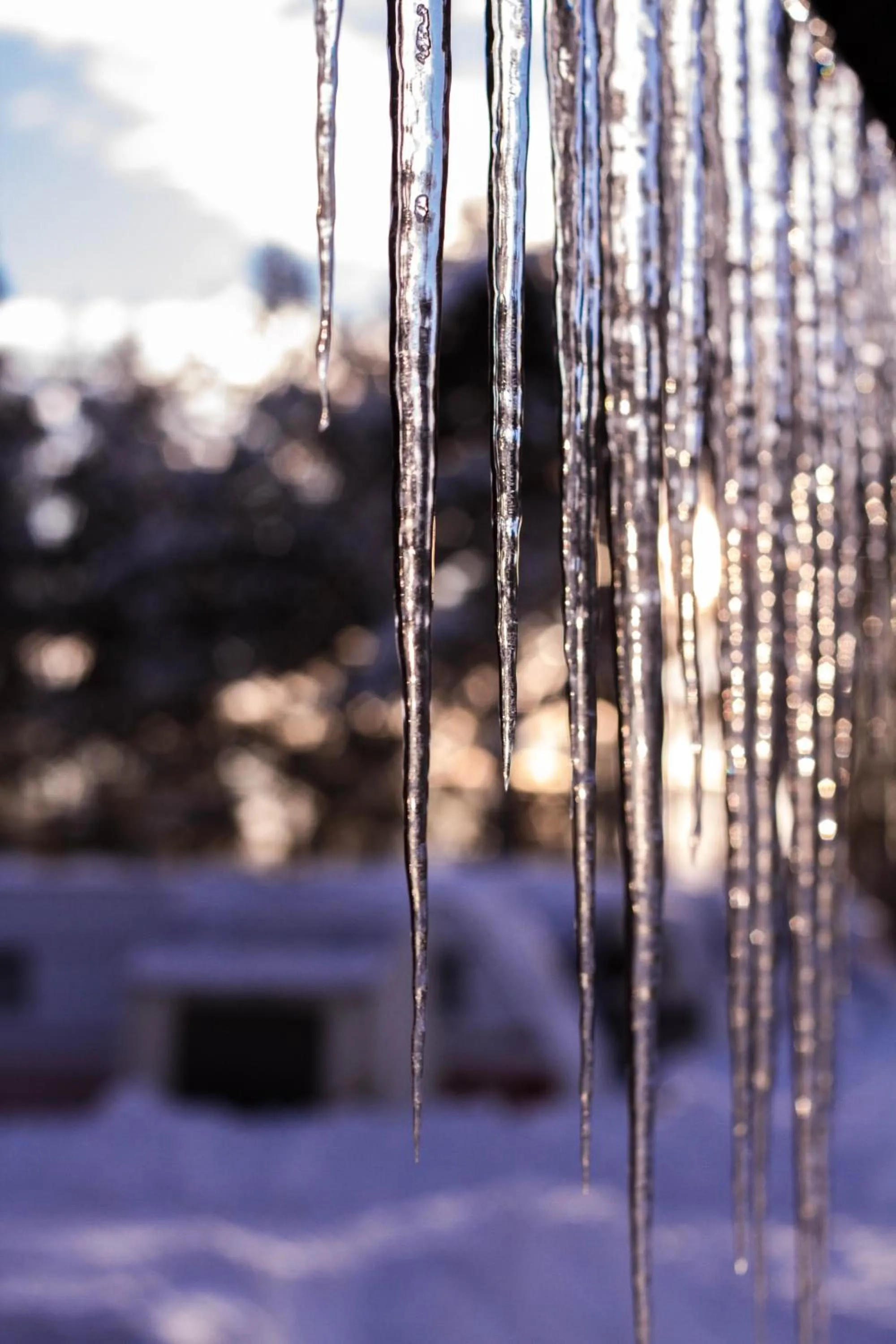 Neighbourhood in First Camp Moraparken - Dalarna