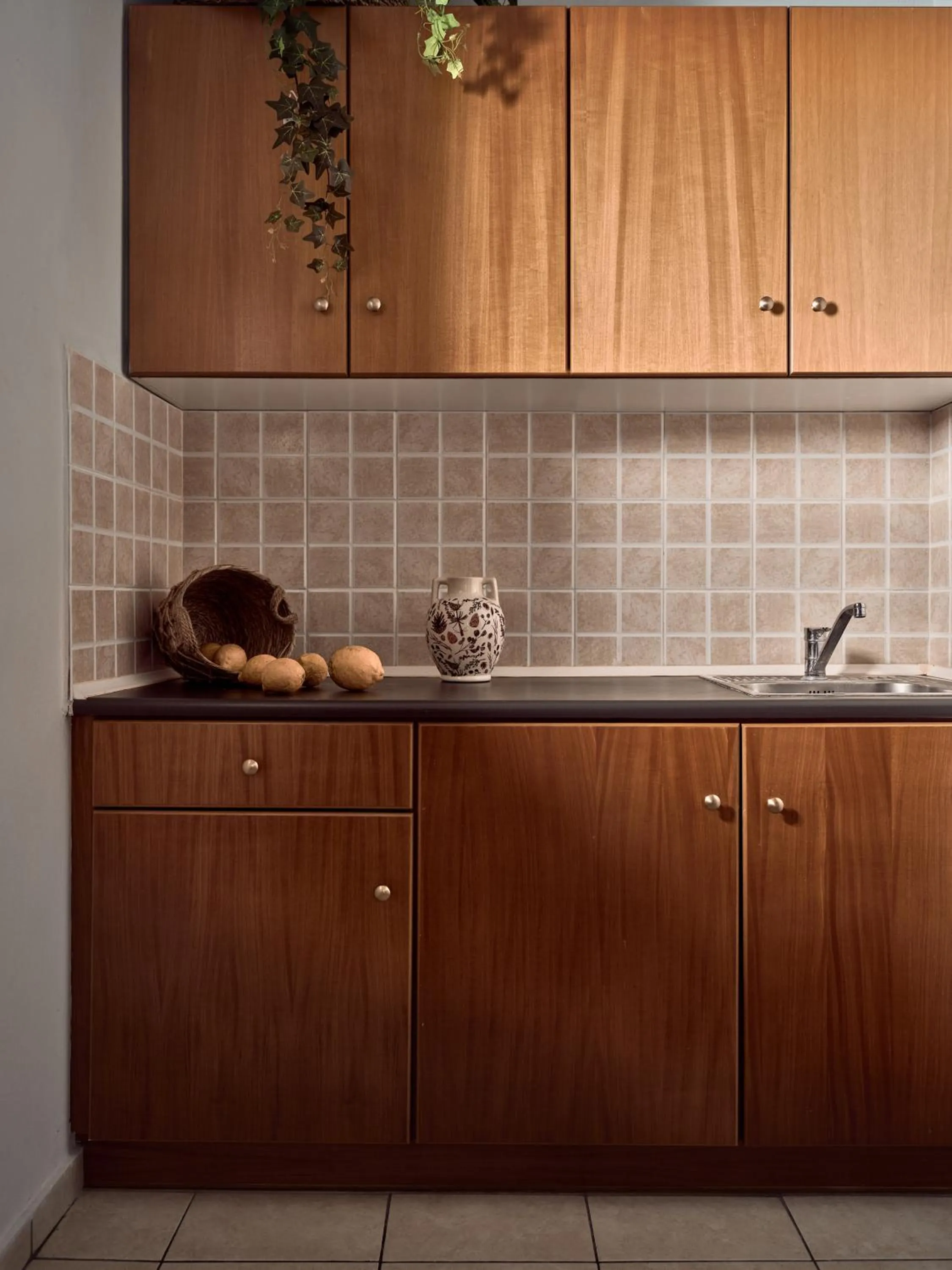 Kitchen or kitchenette in Razis Apartments