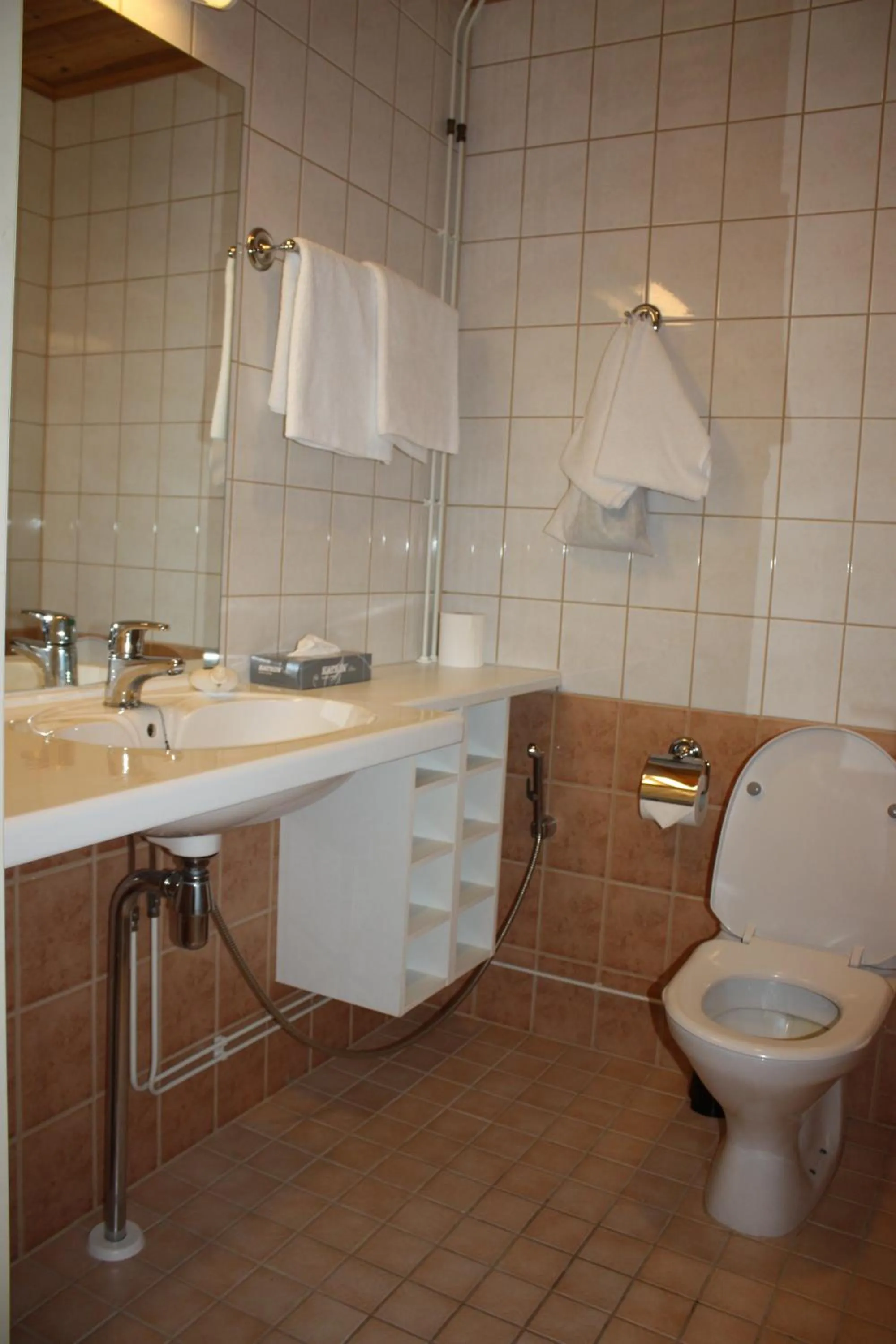 Toilet in Summer Hotel Tott