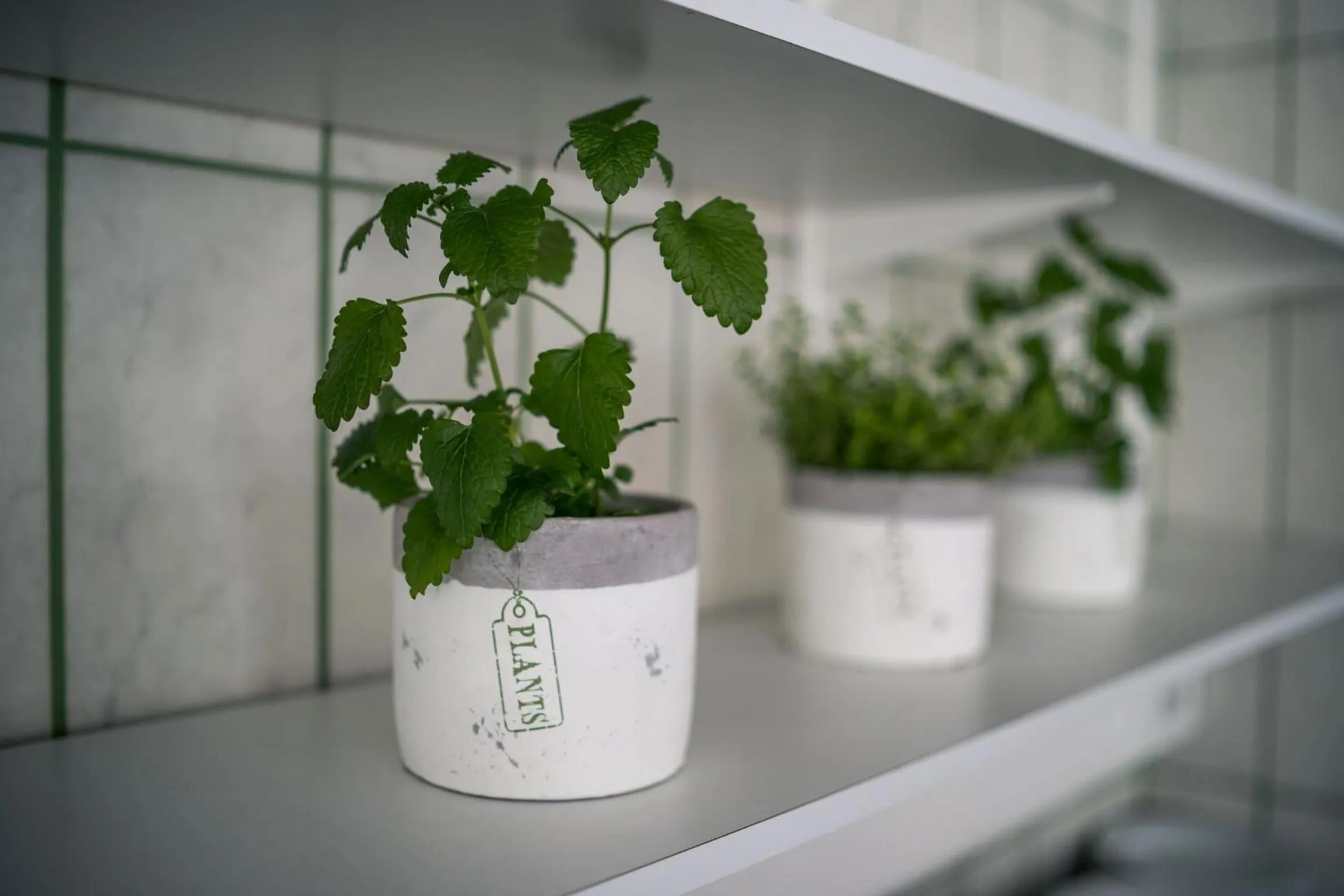 Breakfast in Summer Hotel Tott