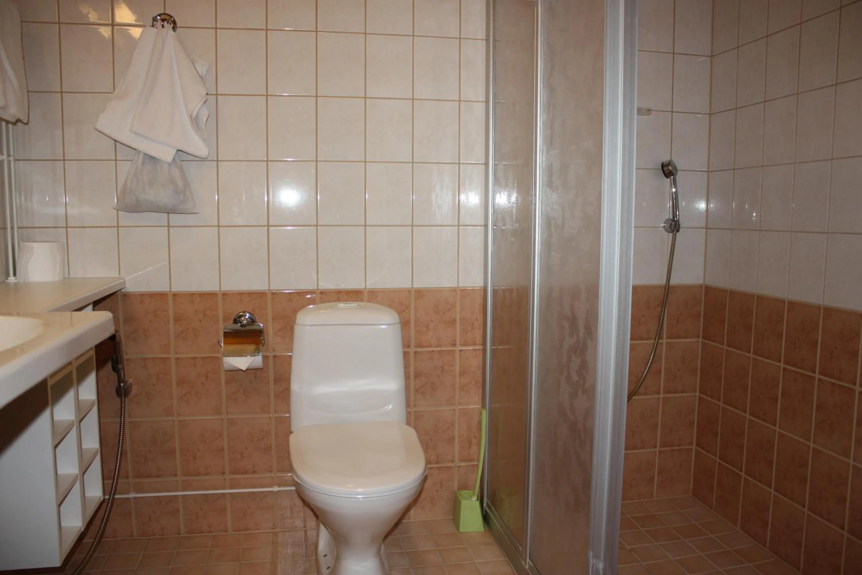 Toilet in Summer Hotel Tott