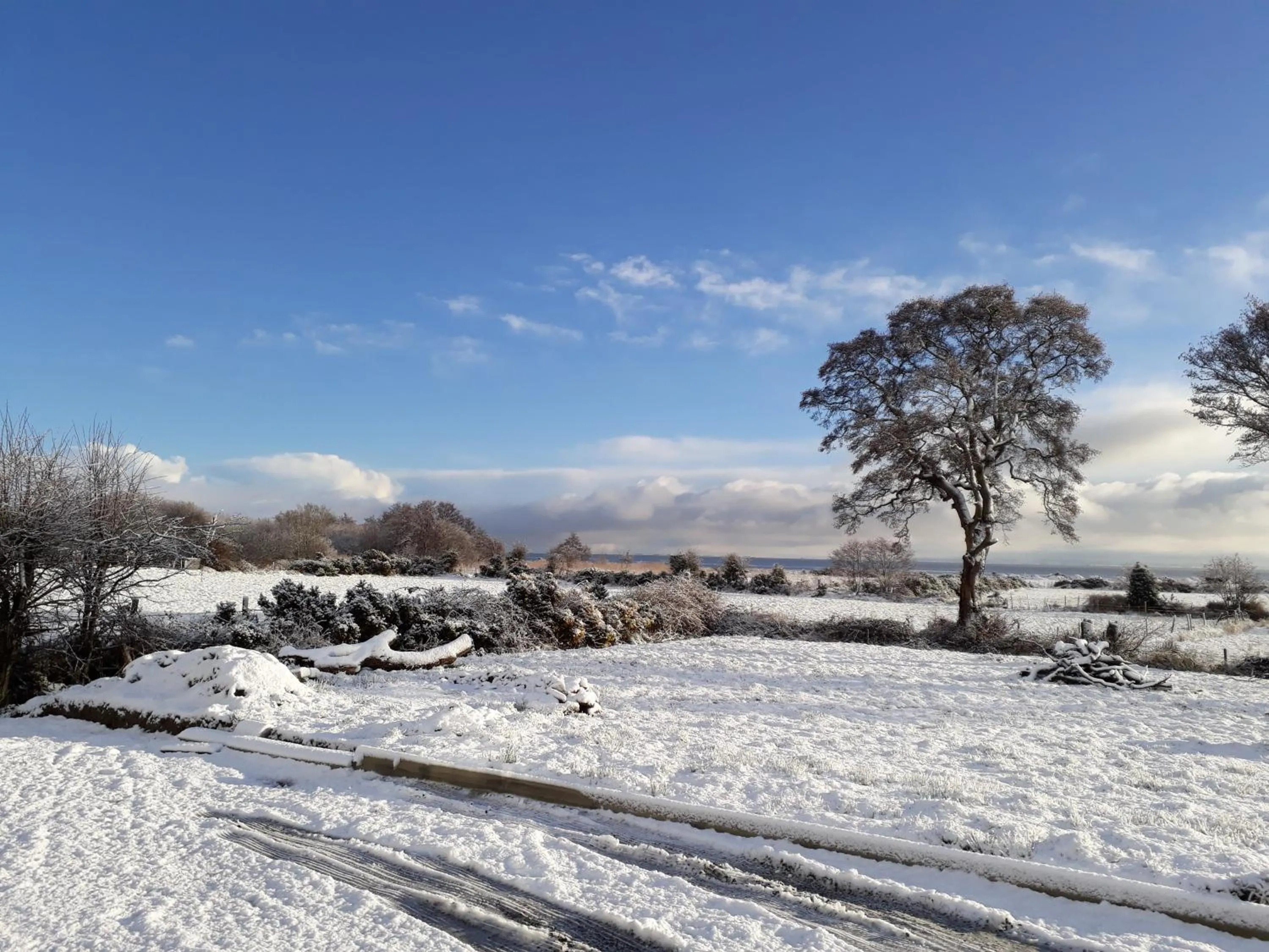 Cherrytree House B&B