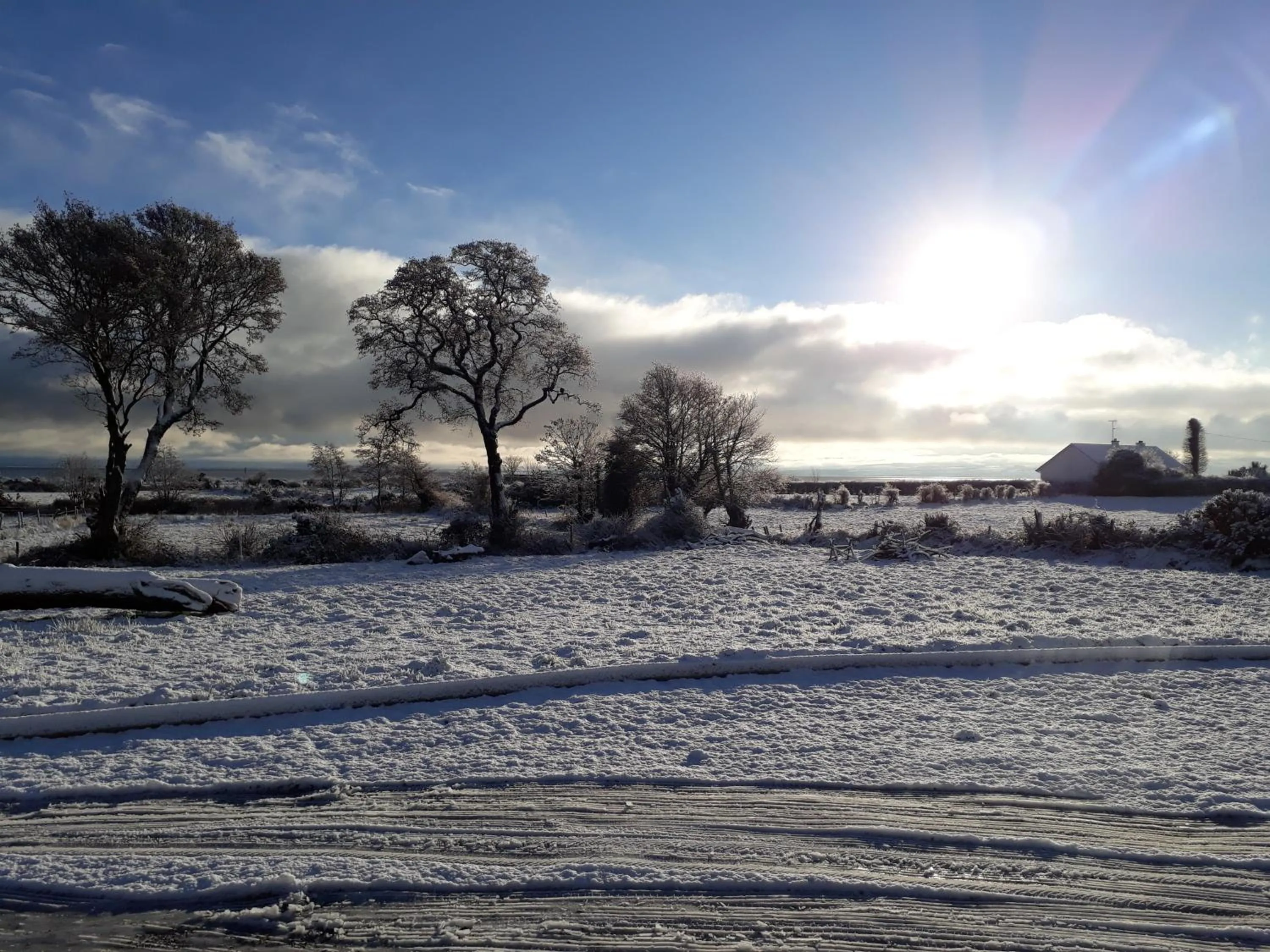 Cherrytree House B&B