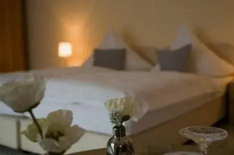 Single Room in Hotel Hilgers Single Room in Hotel Hilgers