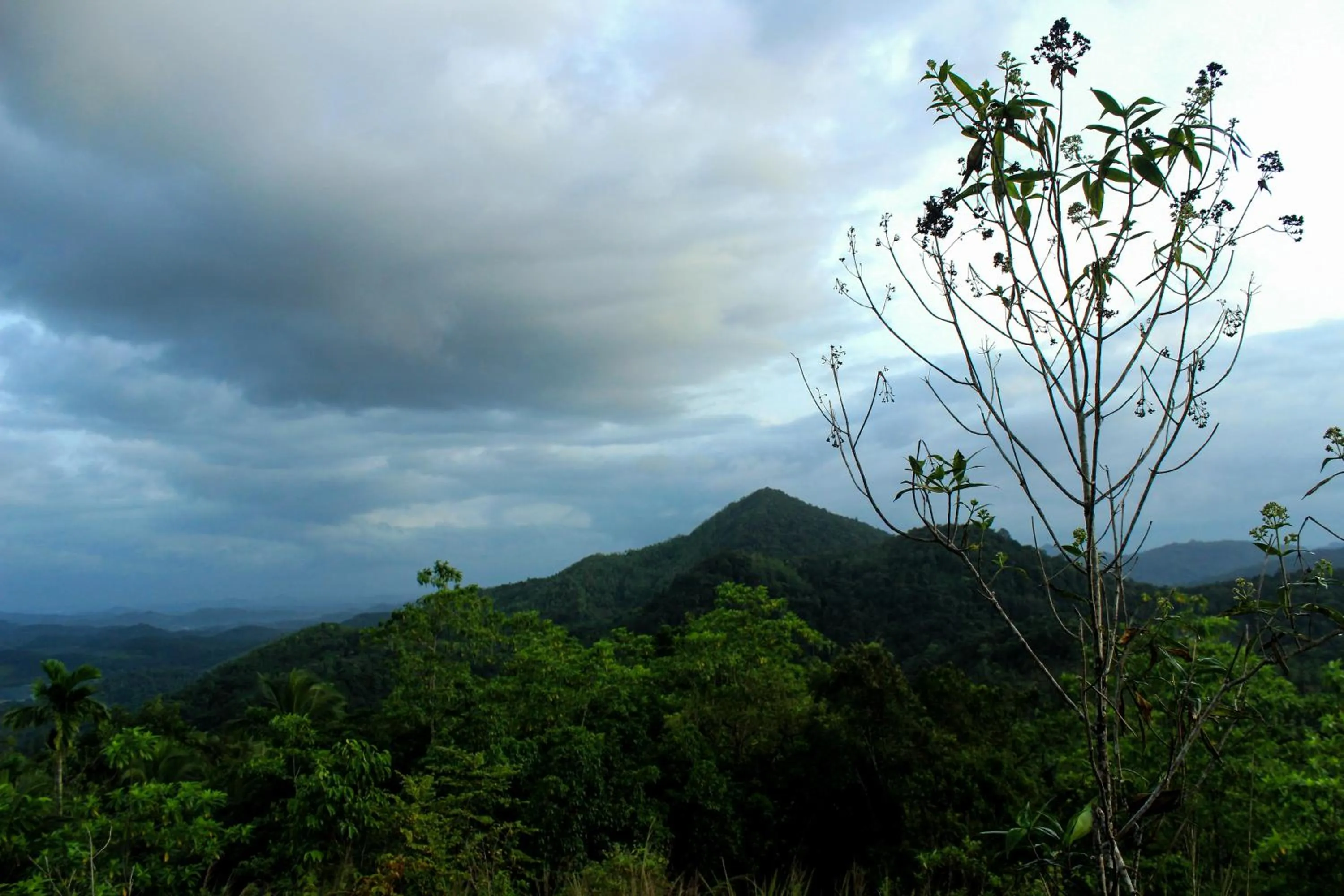 Natural landscape in AHAS GAWWA Eco Lodge