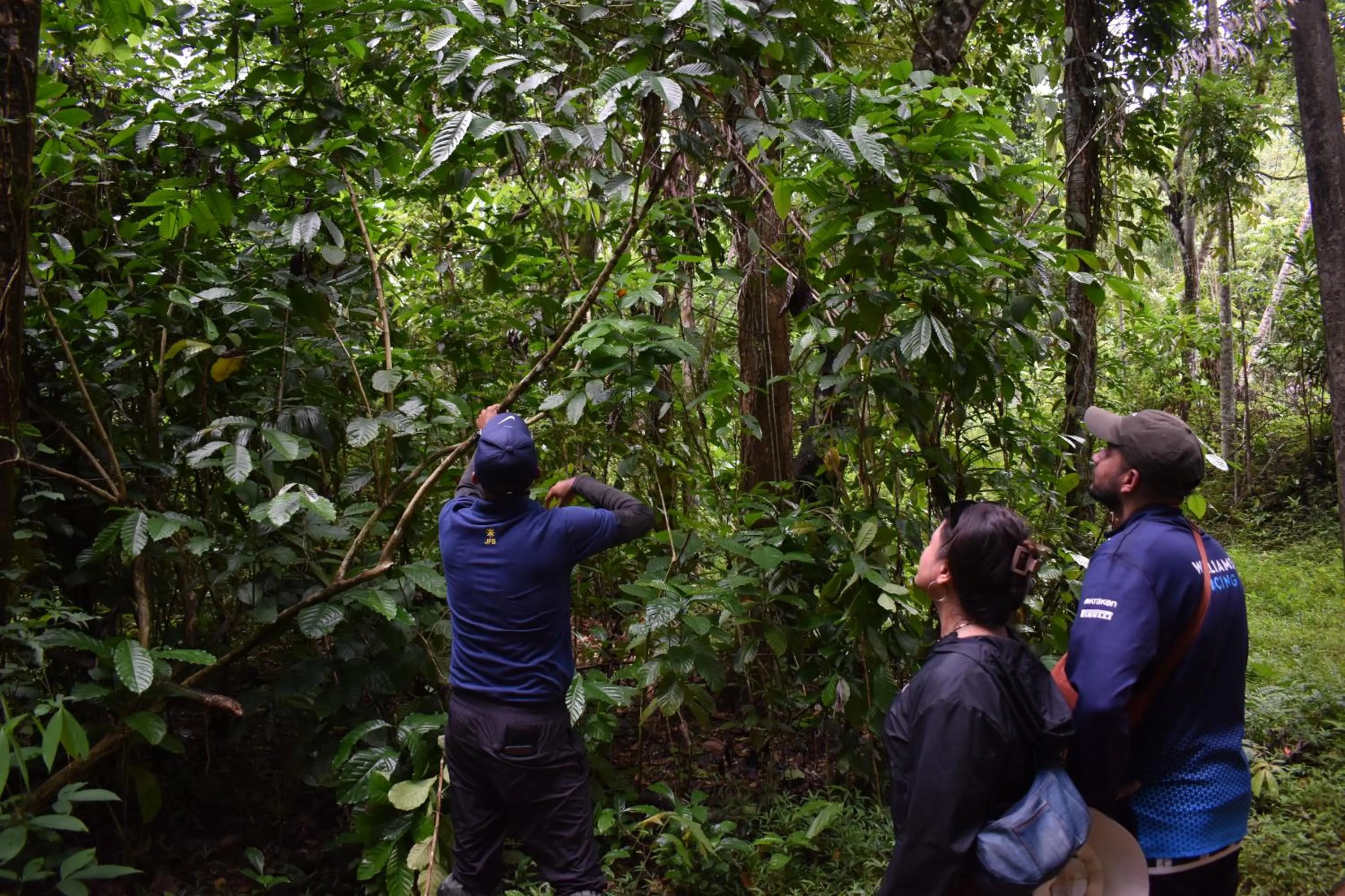 AHAS GAWWA Eco Lodge