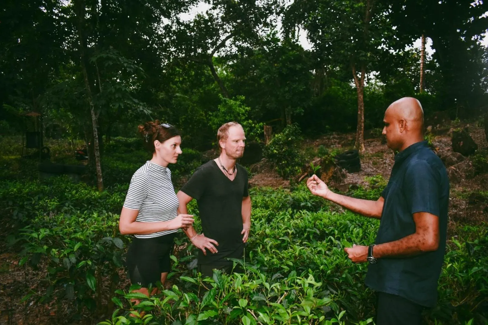 AHAS GAWWA Eco Lodge