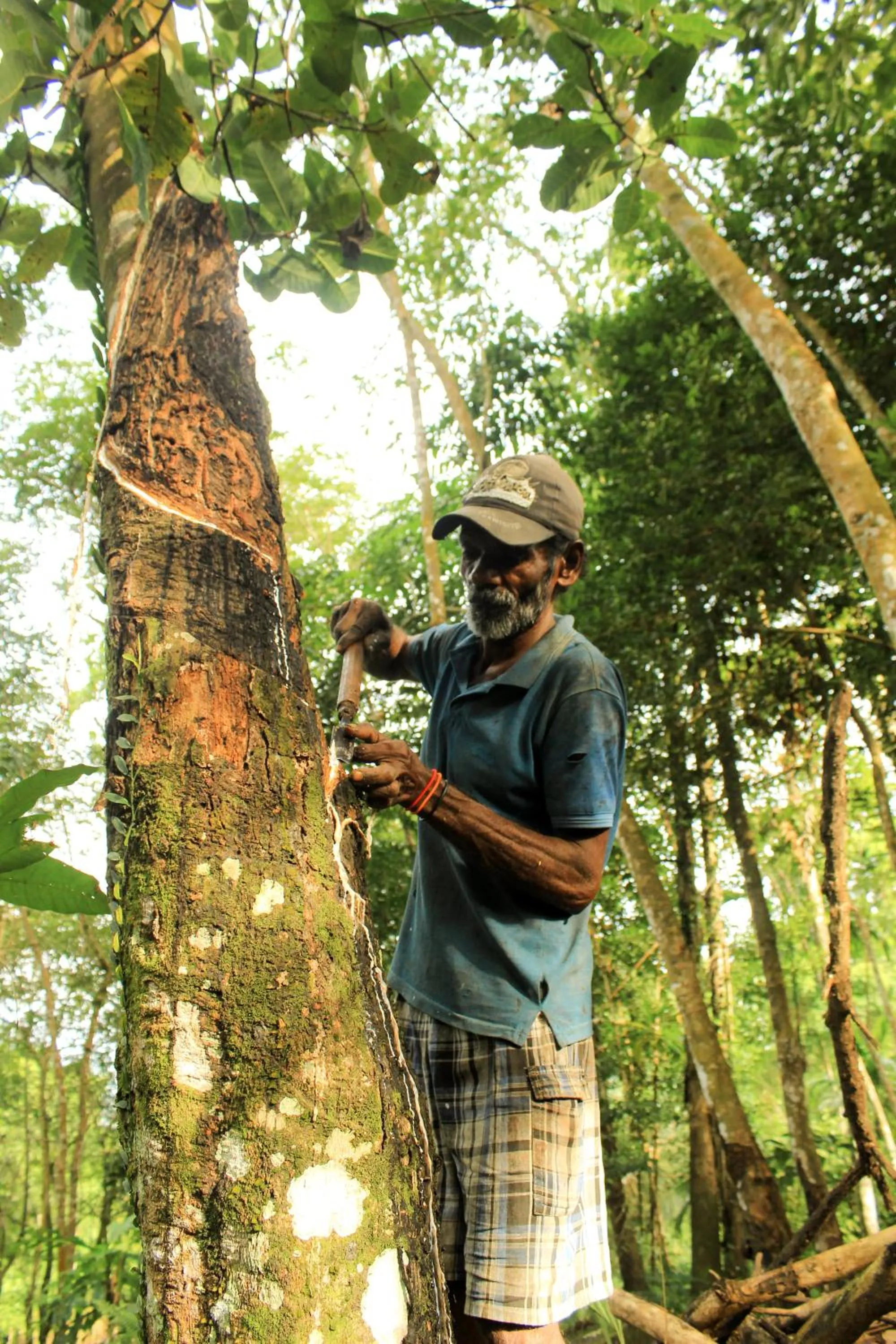 Activities in AHAS GAWWA Eco Lodge