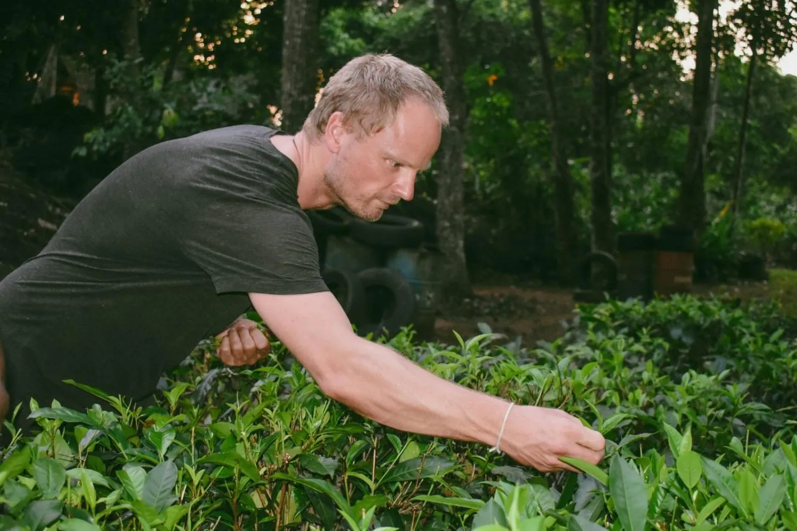 AHAS GAWWA Eco Lodge