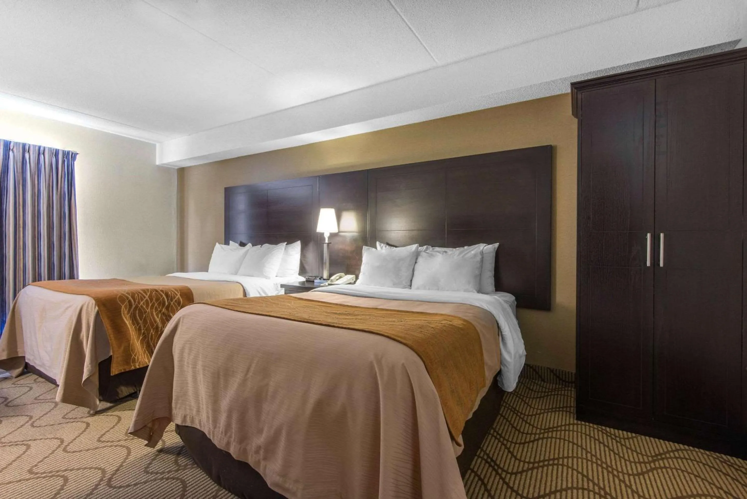 Photo of the whole room, Bed in Comfort Inn