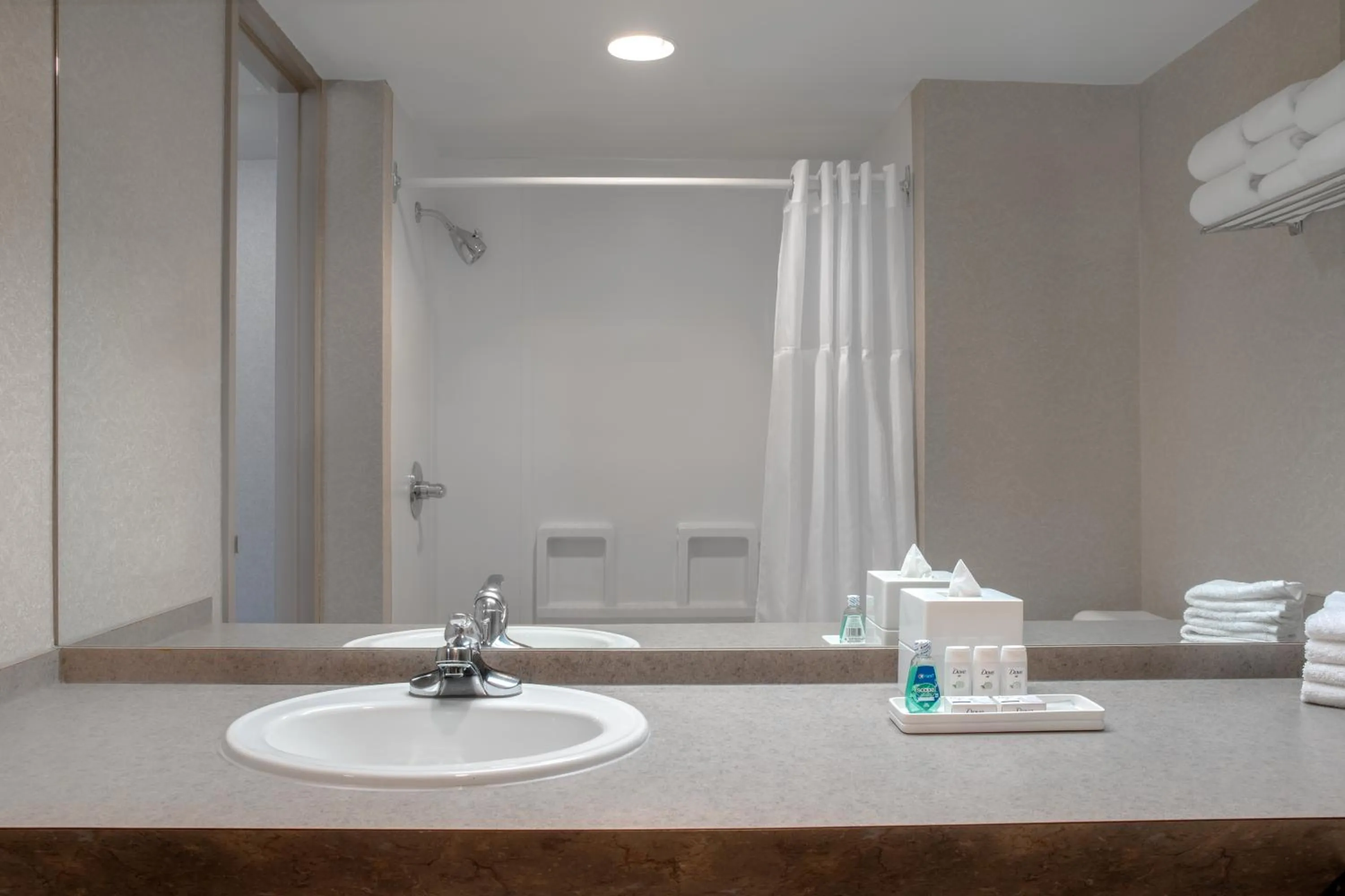 Bathroom in Ramada Plaza by Wyndham Calgary Downtown