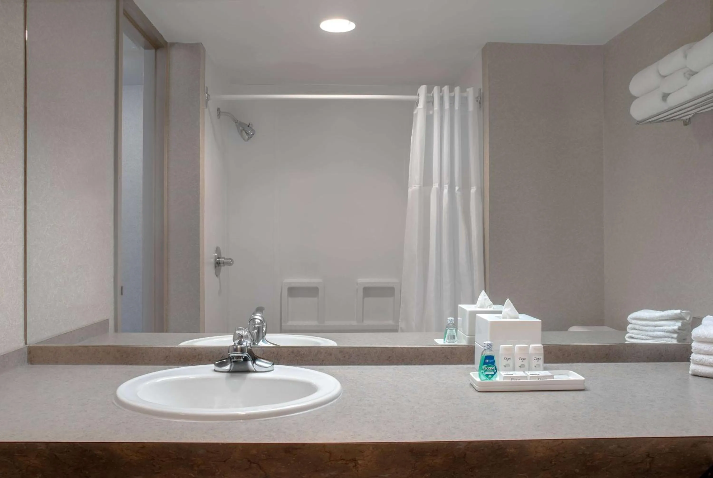 Shower in Ramada Plaza by Wyndham Calgary Downtown