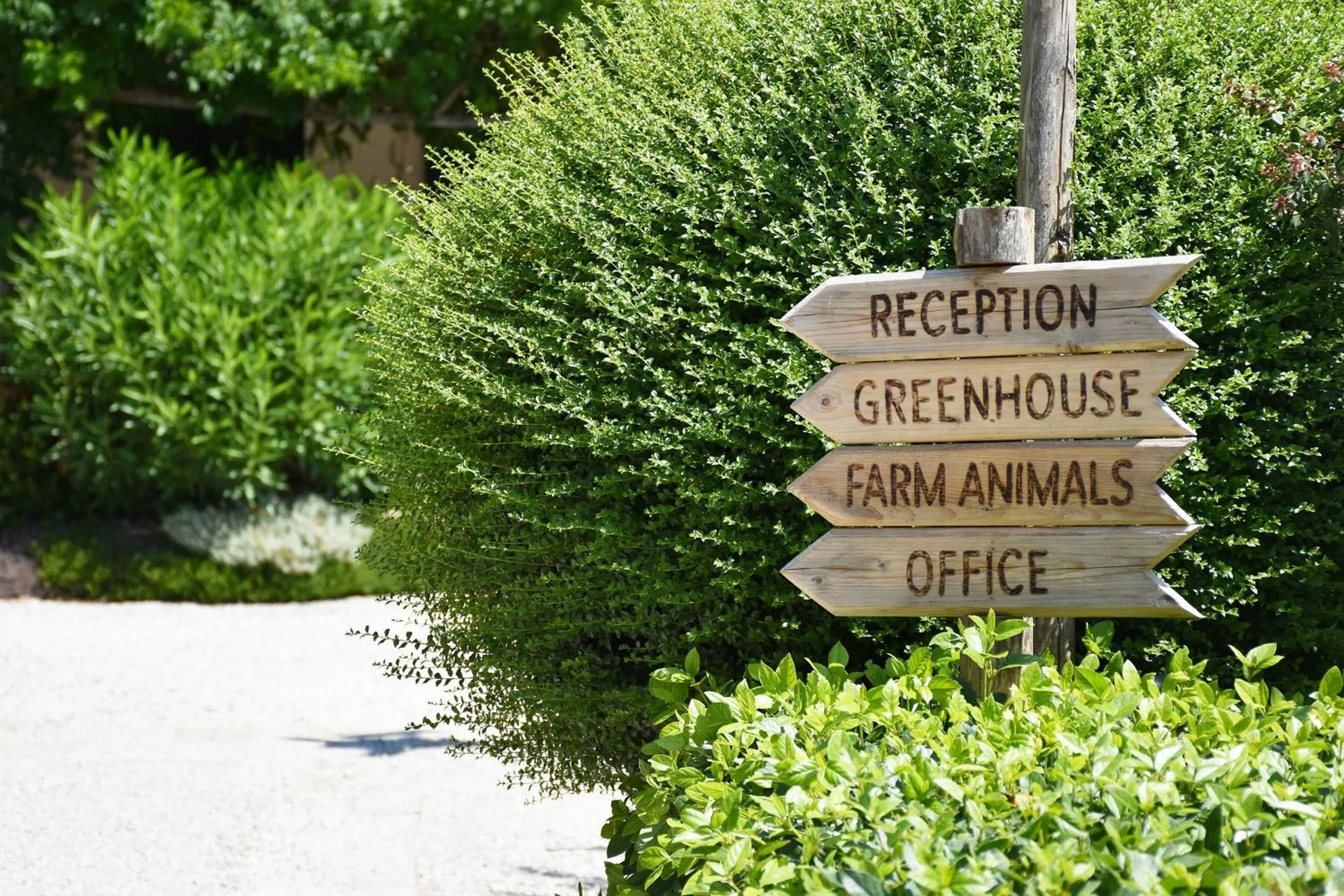 Facade/entrance in Venicegreen Agriresort