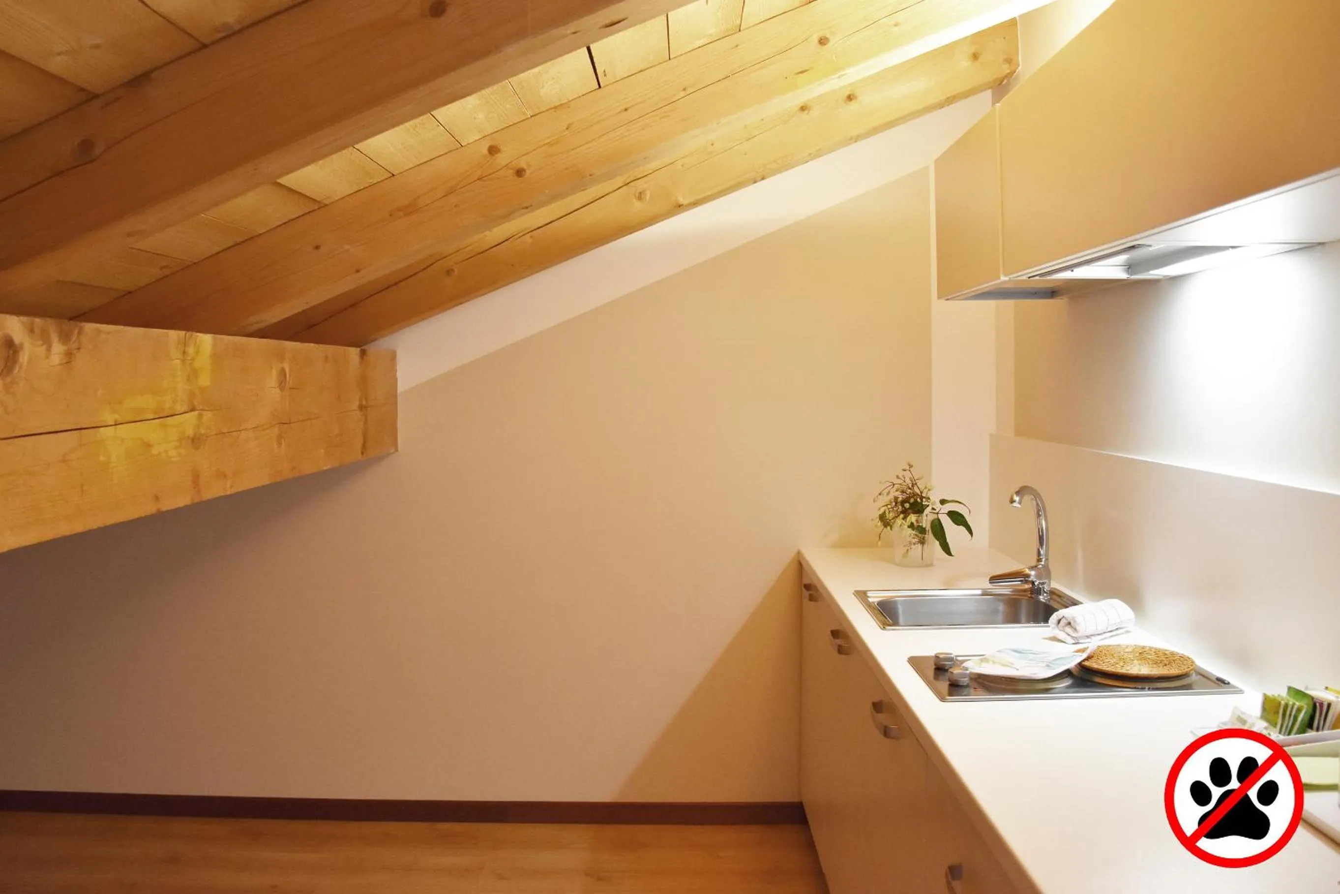 Kitchen or kitchenette in Venicegreen Agriresort