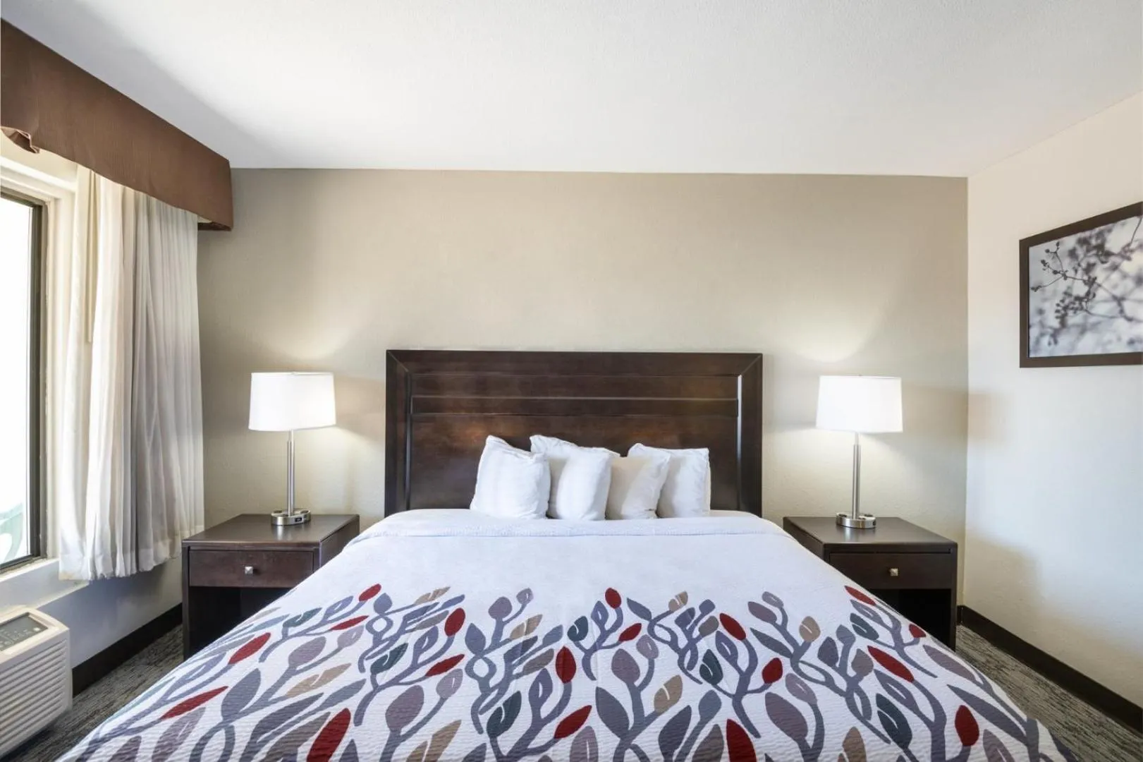 Bed in Red Roof Inn Tucson Downtown - University