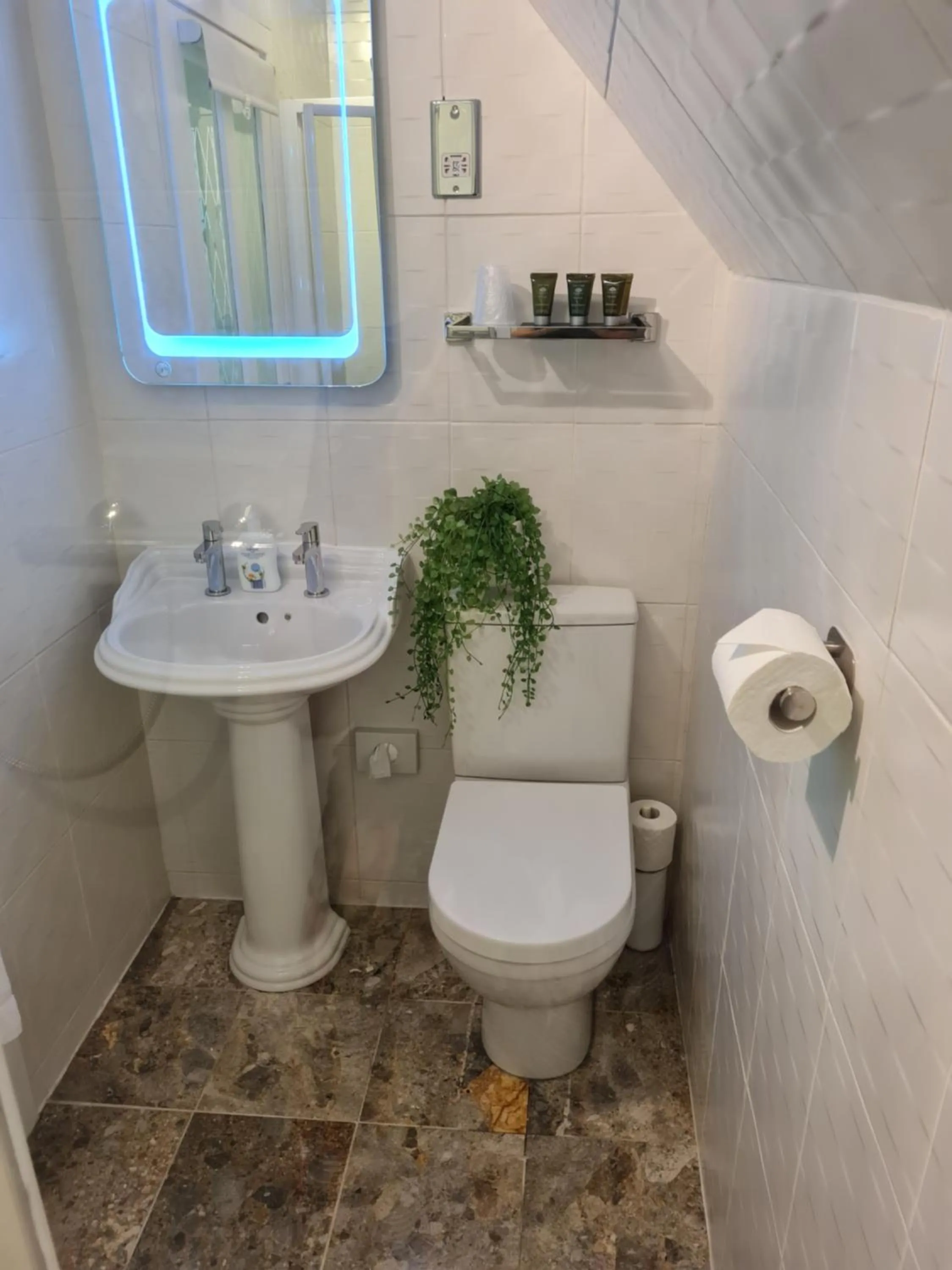 Toilet in Eagle View Guest House