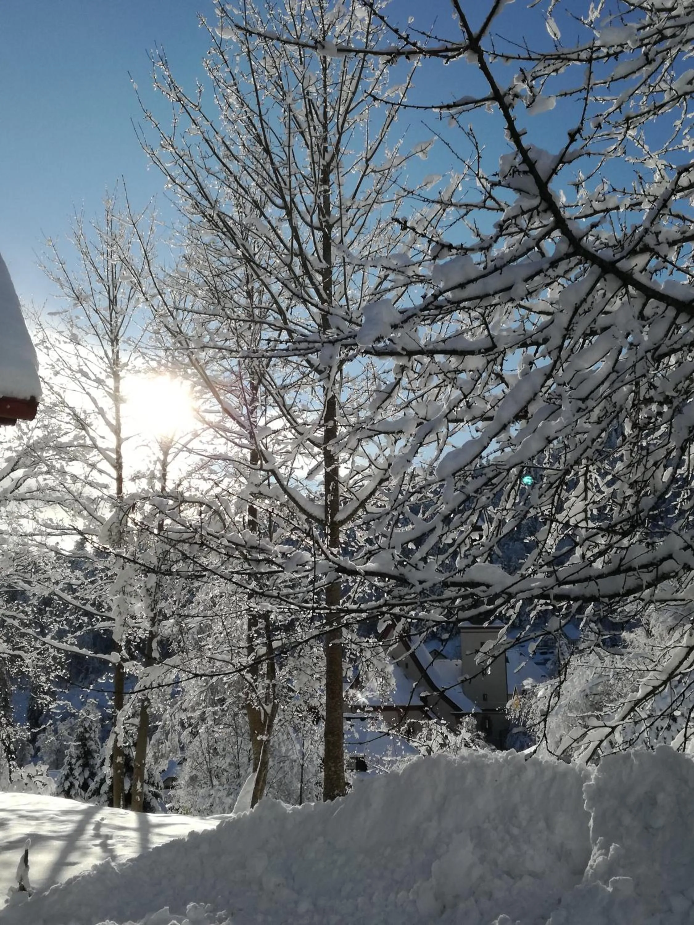 Other in Hotel La Quinta - adults only